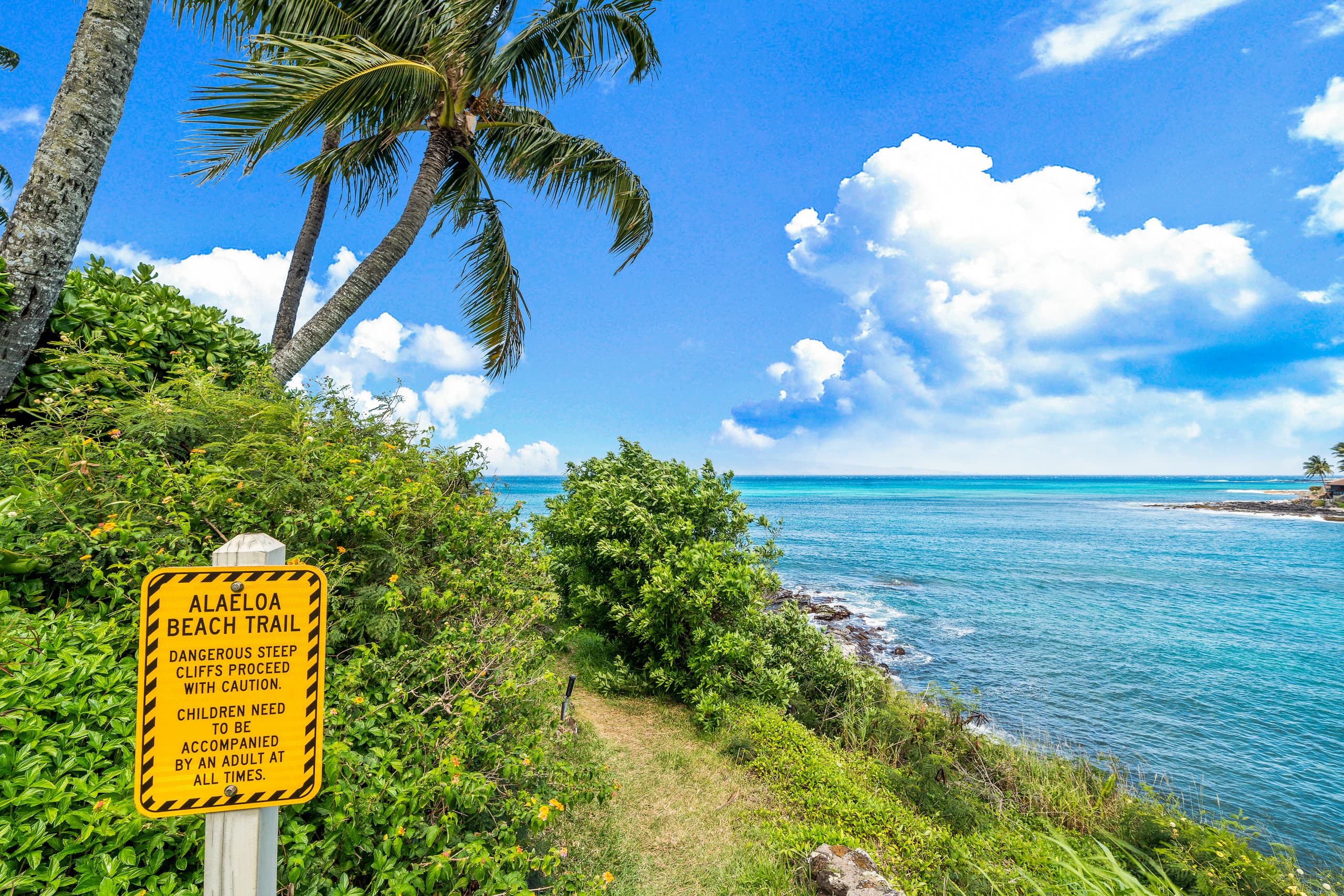 Condo in Lahaina · ★5.0 · 3 bedrooms · 6 beds · 2 shared baths - Image 39