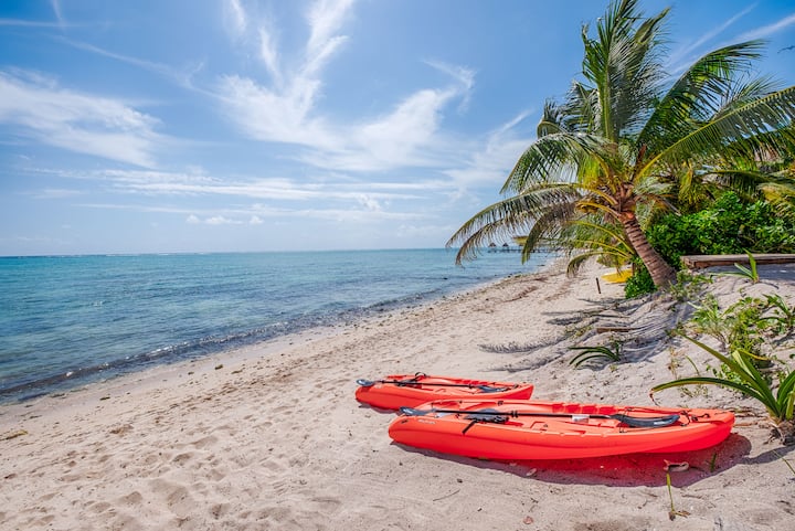 Kayaks