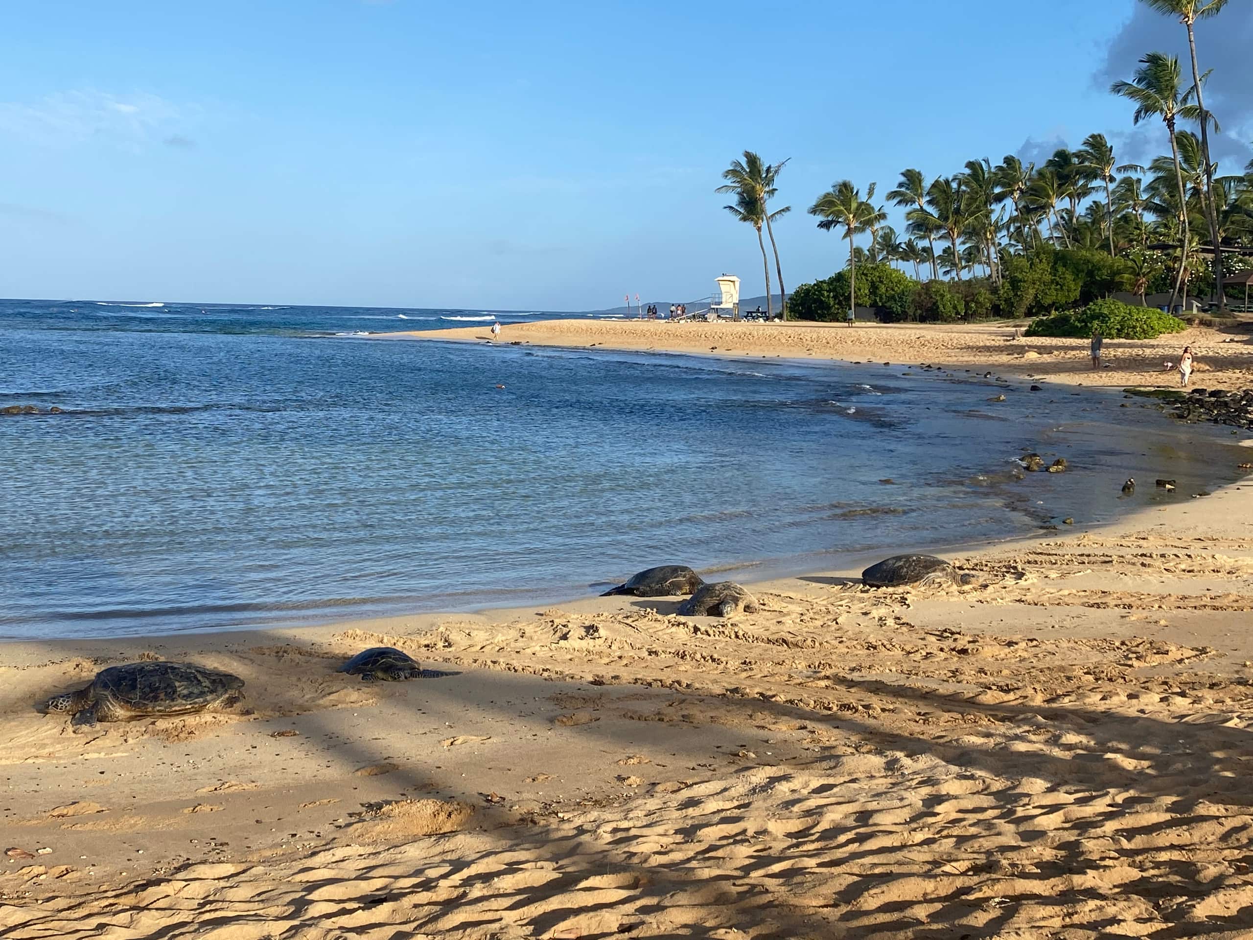 Amazing Golf View Private Pool & Hot Tub Sleep 10 - Photo 75