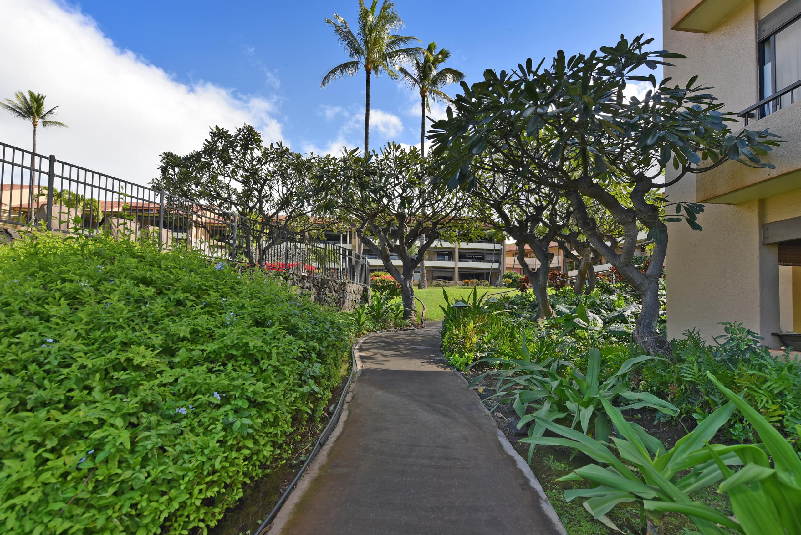 Condo in Lahaina · ★4.65 · 2 bedrooms · 3 beds · 2 baths - Image 24