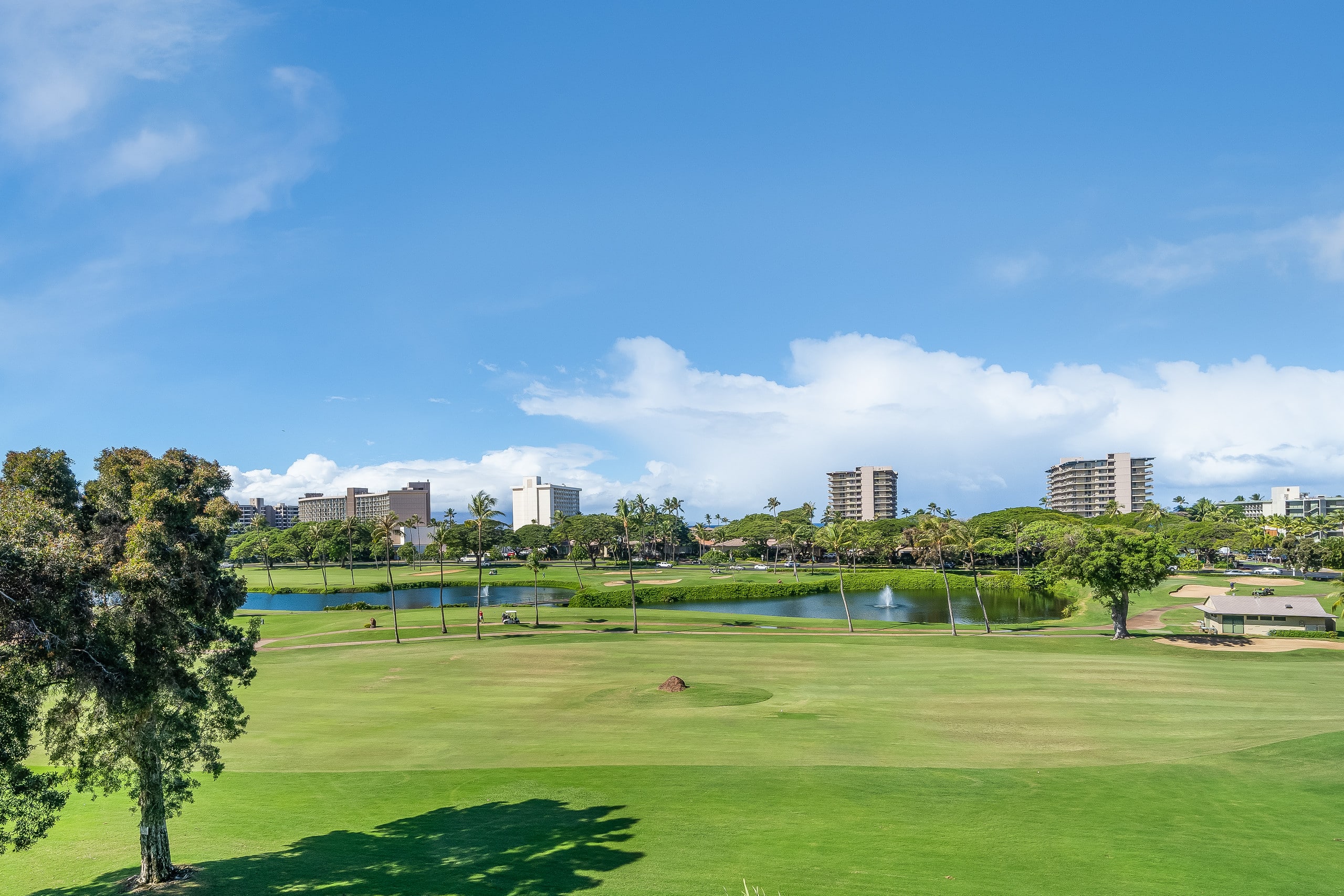 Condo in Lahaina · ★4.65 · 2 bedrooms · 3 beds · 2 baths - Image 26