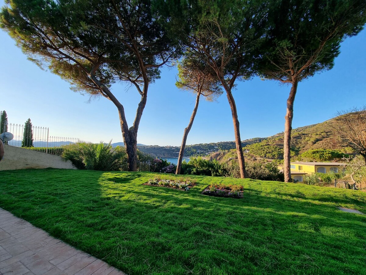 A lush green lawn is bordered by tall pine trees, offering a scenic view of the surrounding hills and coastline. Flower beds with blooming plants are visible in the foreground, framed by the expansive outdoor space that conveys a calm and serene environment.