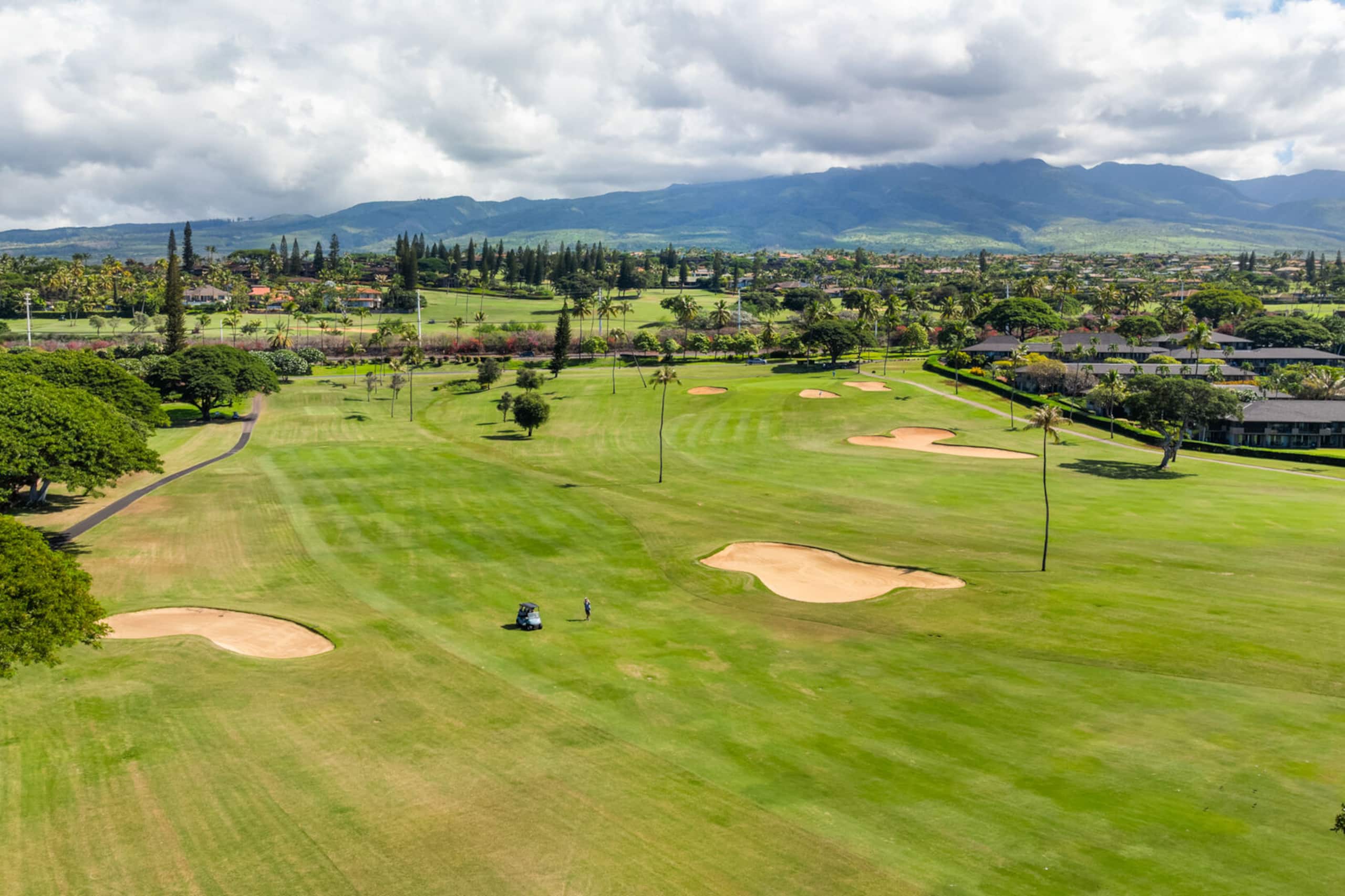 Condo in Lahaina · ★5.0 · 1 bedroom · 2 beds · 1 private bath - Image 83