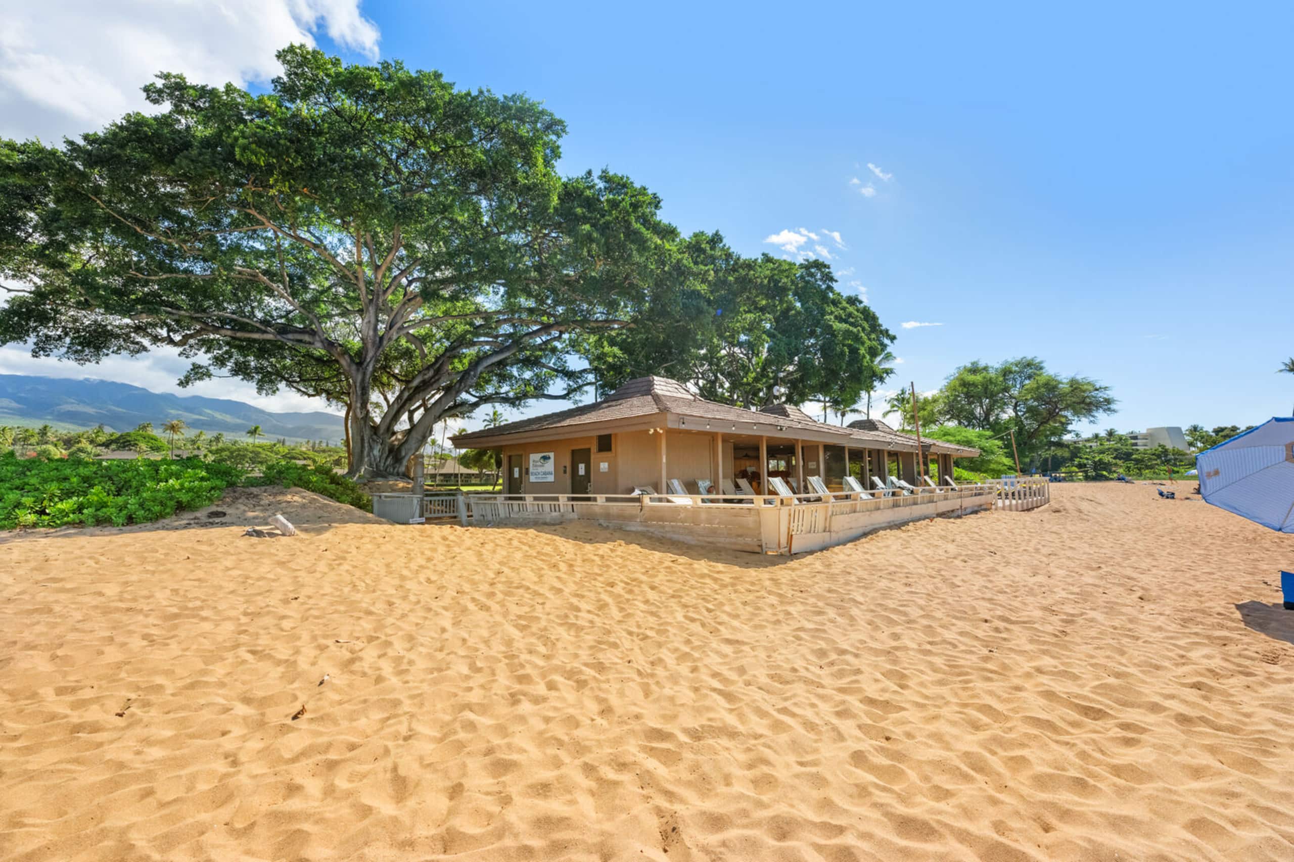 Condo in Lahaina · ★5.0 · 1 bedroom · 2 beds · 1 private bath - Image 30