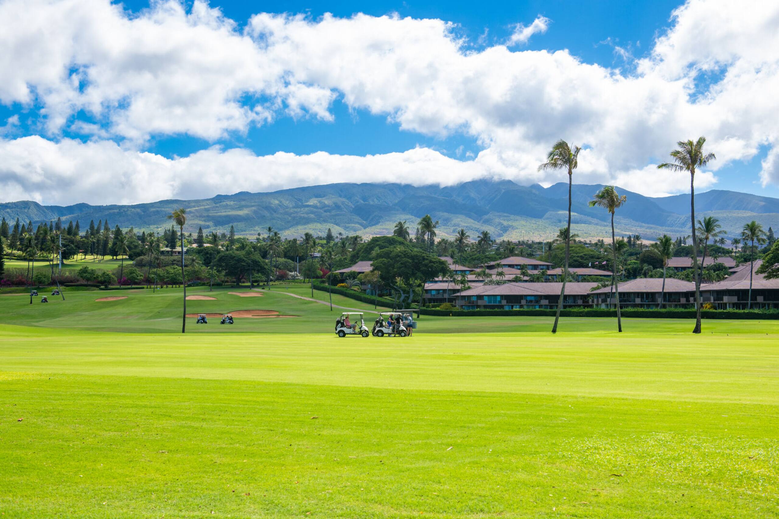 Condo in Lahaina · ★5.0 · 1 bedroom · 2 beds · 1 private bath - Image 56