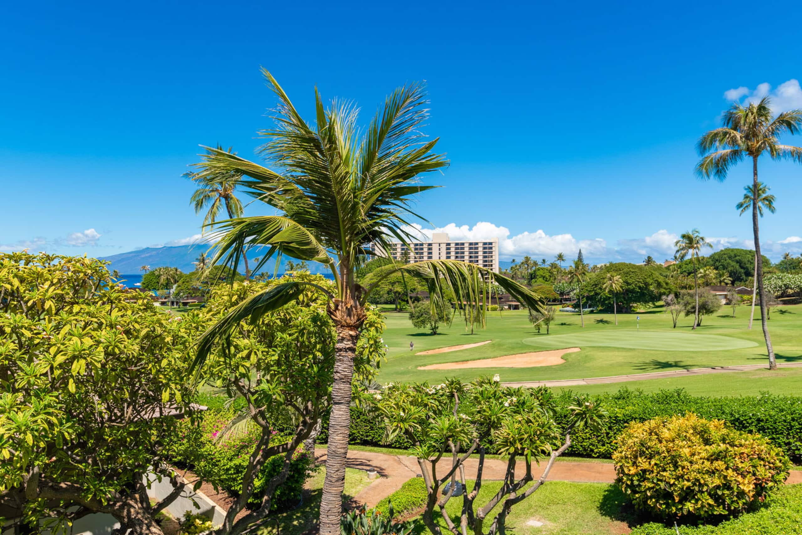 Condo in Lahaina · ★5.0 · 1 bedroom · 2 beds · 1 private bath - Image 55