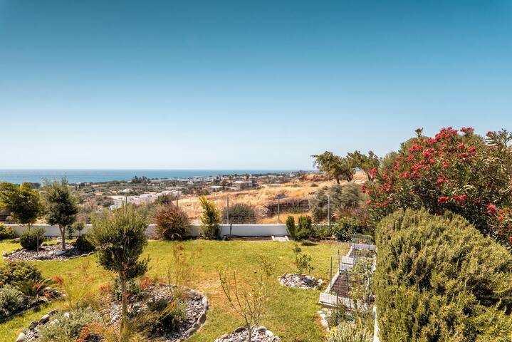 Villa Kalliope gallery image 3