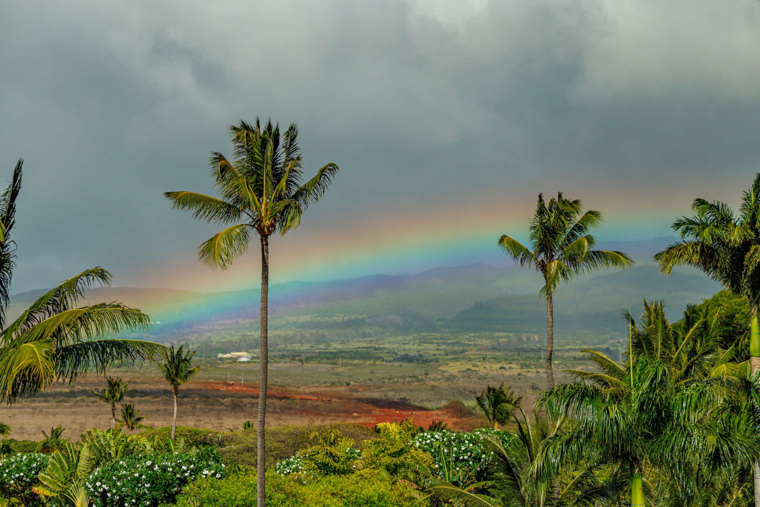 Condo in Lahaina · ★4.75 · 1 bedroom · 2 beds · 1 bath - Image 44