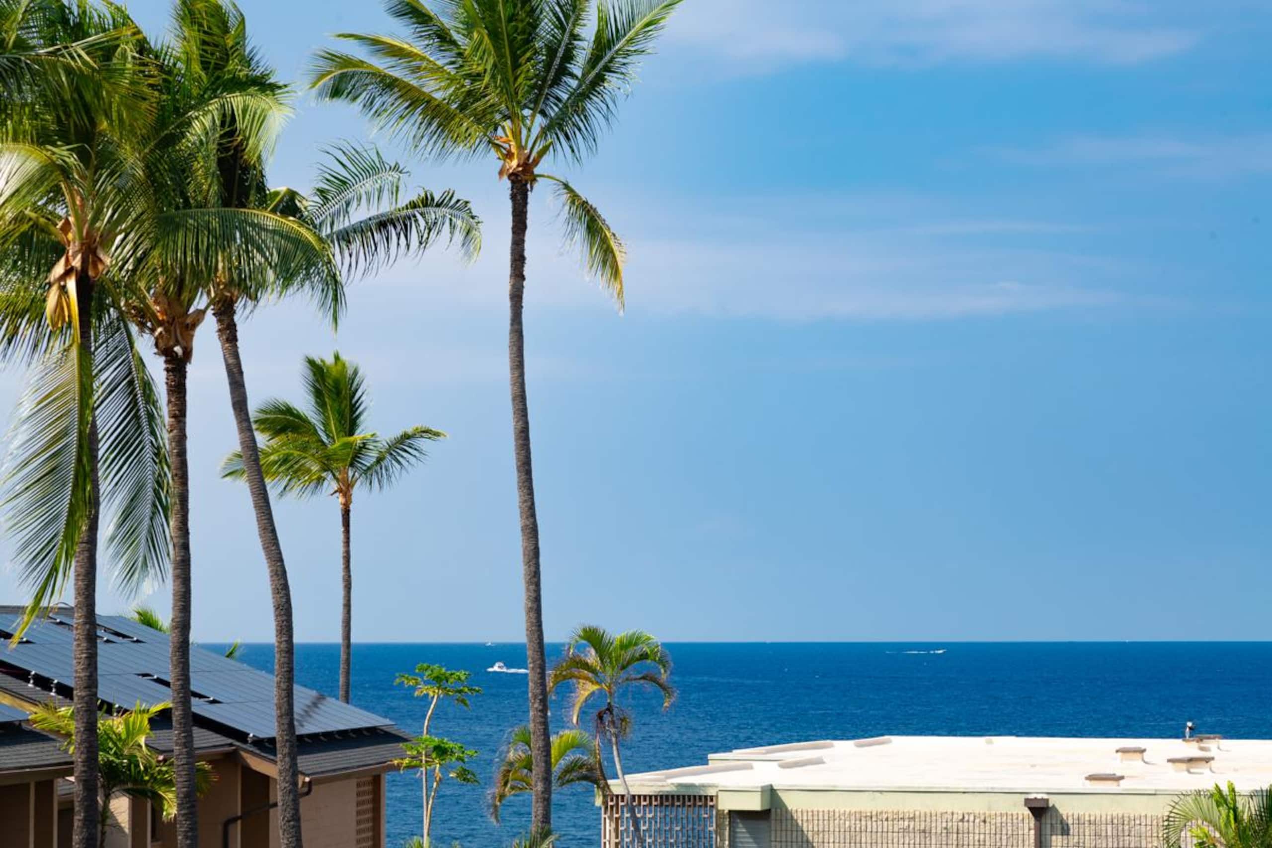 Condo in Kailua-Kona · ★4.83 · 1 bedroom · 2 beds · 1 private bath - Image 18