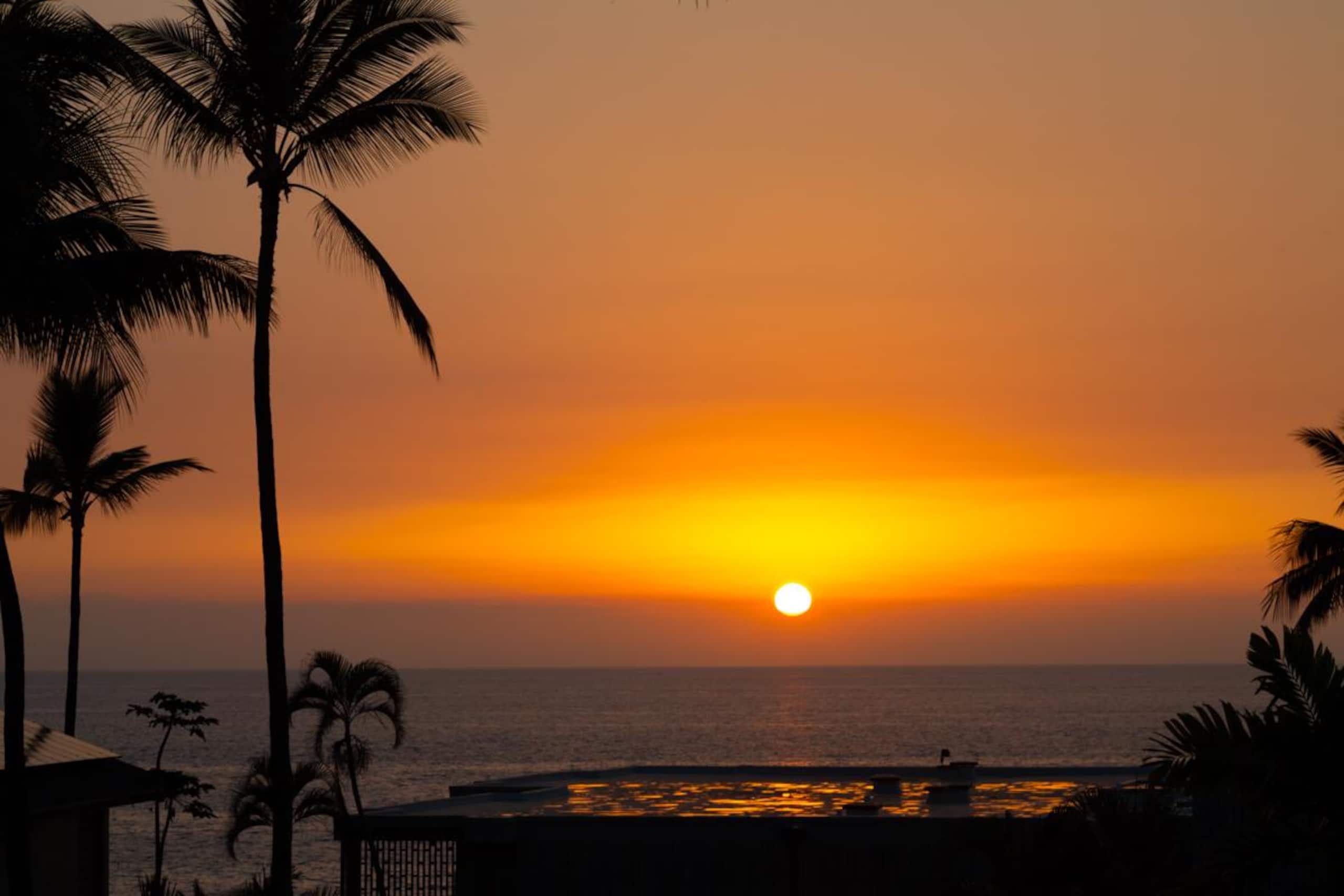 Condo in Kailua-Kona · ★4.83 · 1 bedroom · 2 beds · 1 private bath - Image 20