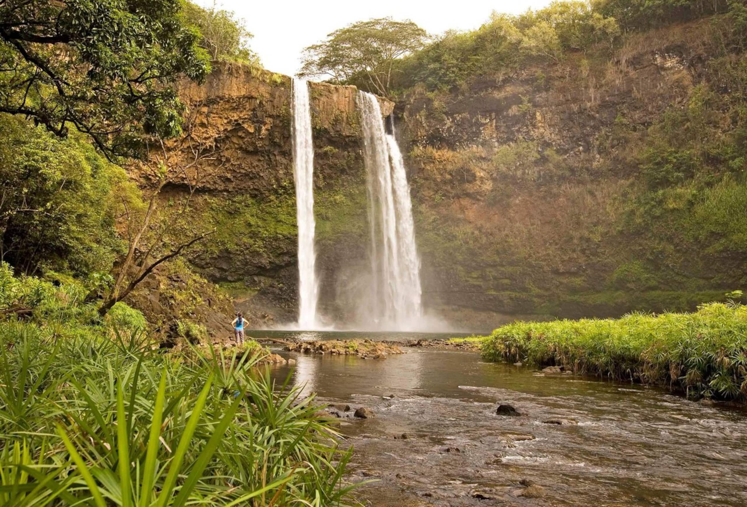 Home in Koloa · ★5.0 · 3 bedrooms · 3 beds · 3.5 baths - Image 50