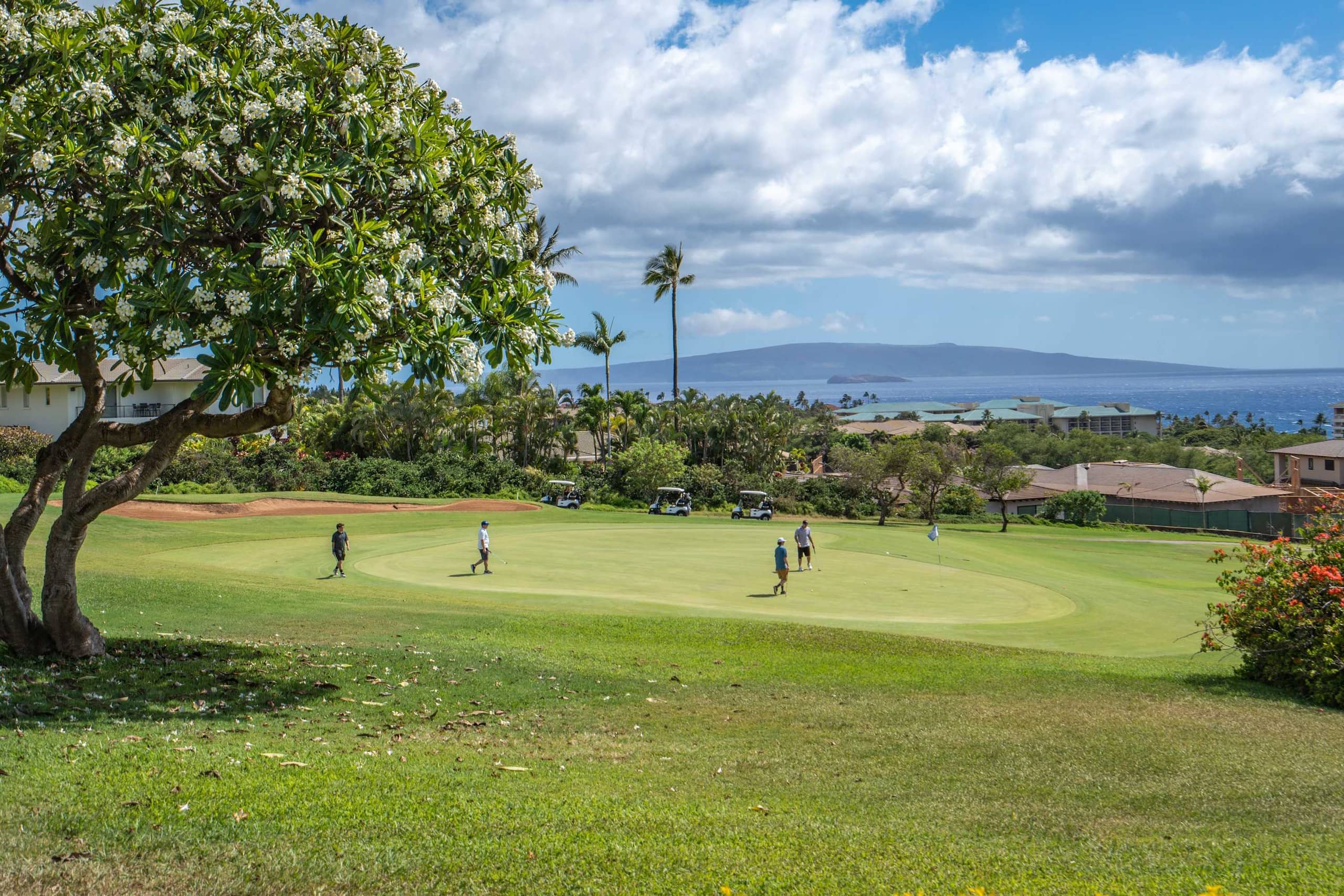 Condo in Kihei · ★5.0 · 2 bedrooms · 3 beds · 2 baths - Image 38
