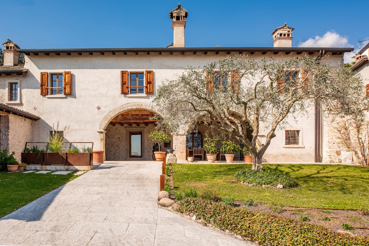 The charming facade of the rustic country house is revealed, showcasing a mix of light-colored walls and dark wooden shutters. A large olive tree stands prominently in the lush garden, which features a well-maintained lawn and a stone pathway leading to the entrance.