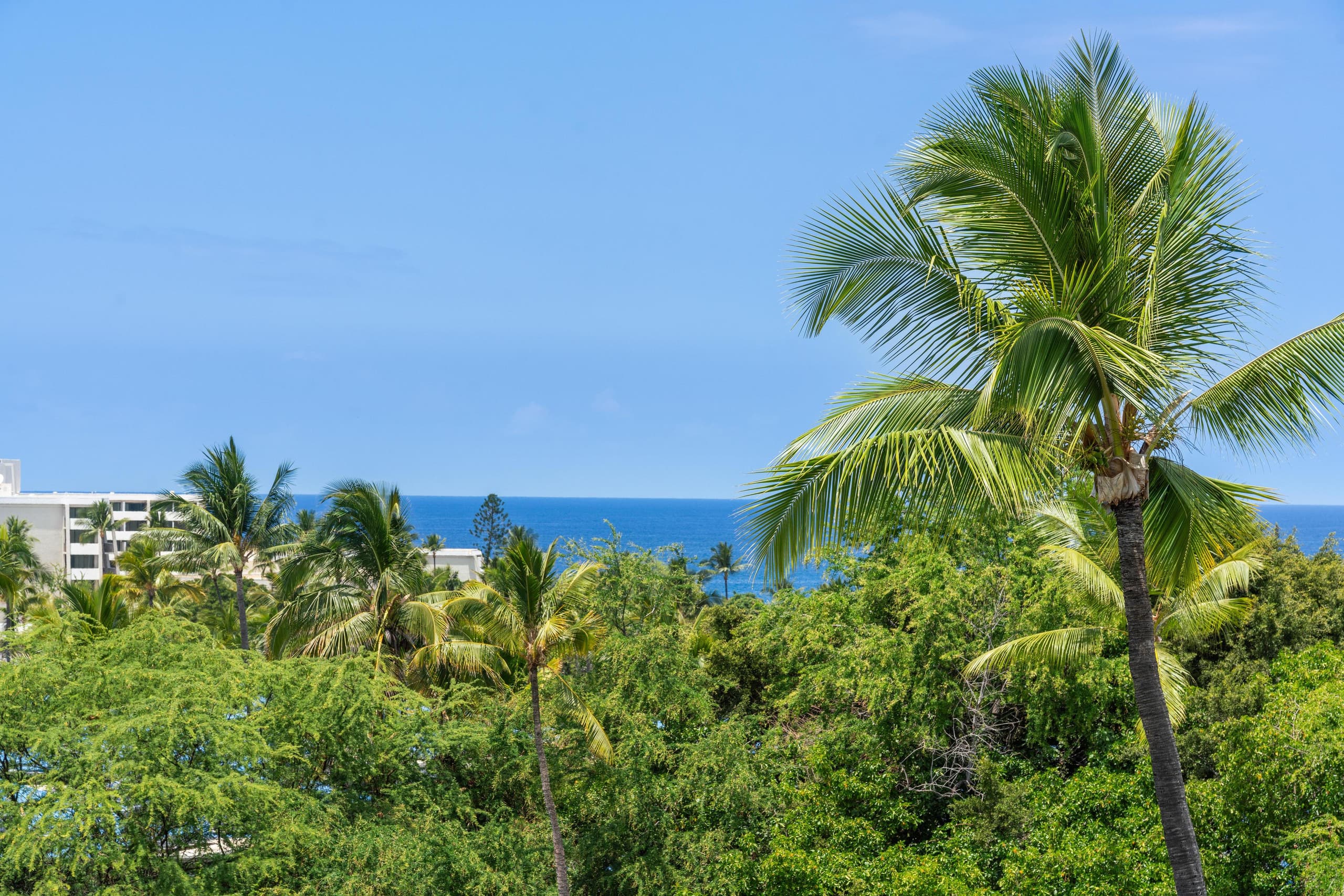 Condo in Kailua-Kona · ★4.58 · 2 bedrooms · 3 beds · 2 shared baths - Image 14