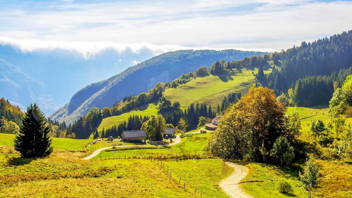 Rolling green hills extend into the distance, gently sloping towards a clear blue sky. Trees with golden foliage dot the landscape, while rustic buildings are nestled among the fields. A winding dirt path leads through the serene countryside, inviting exploration of the natural surroundings.
