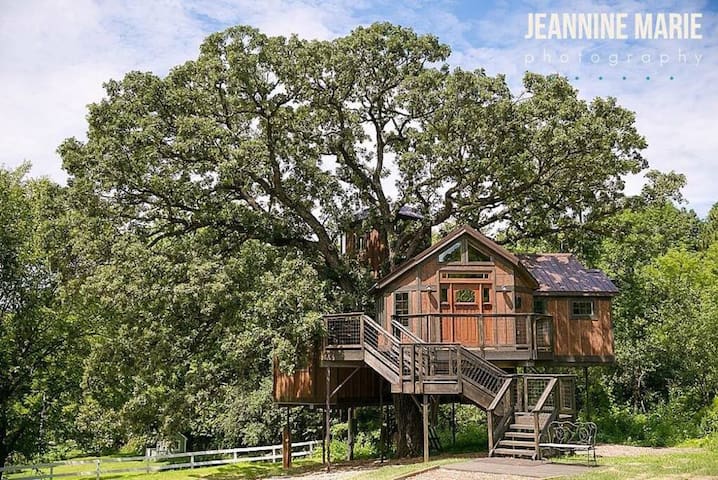 Tree House Luxury Stay
