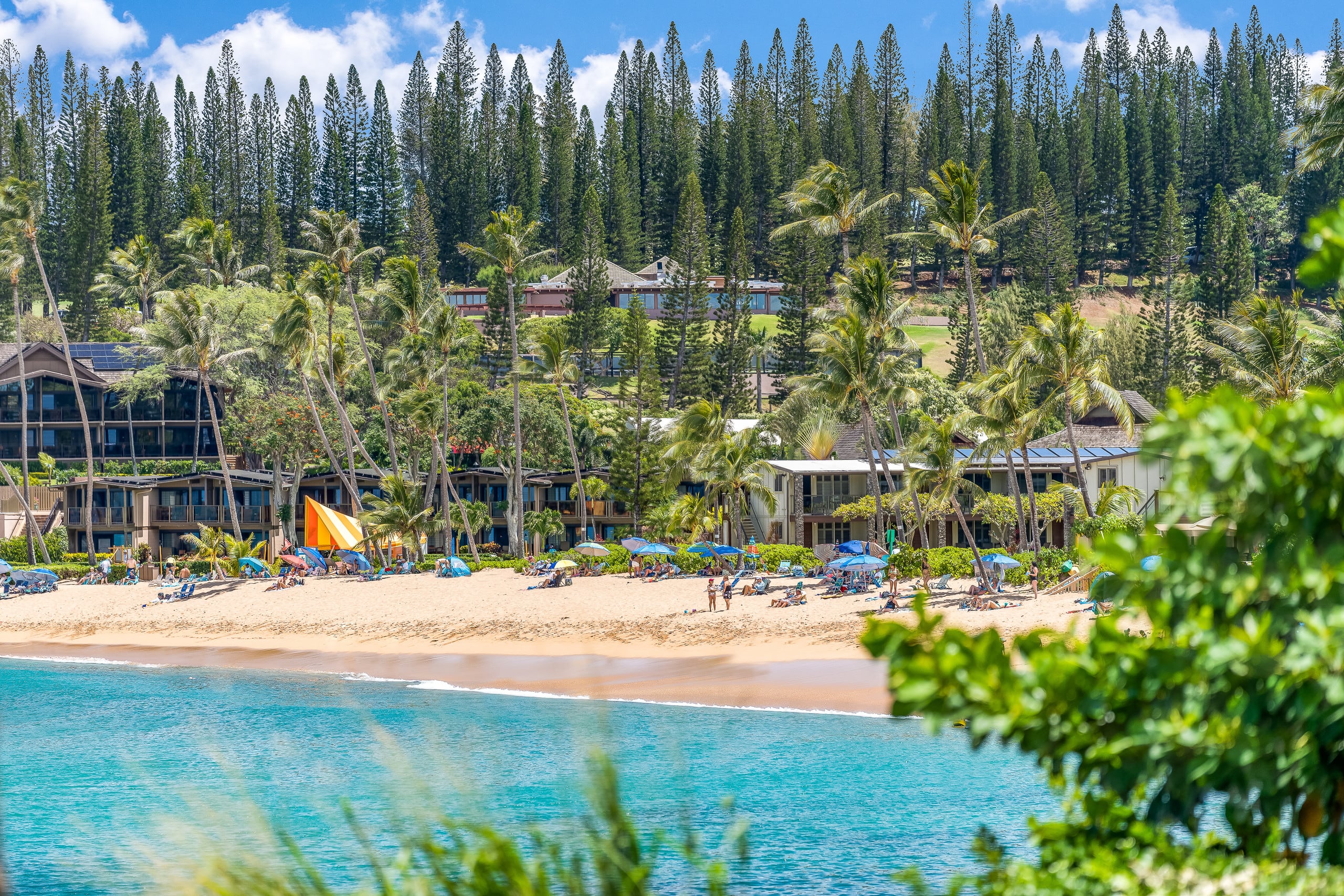 Condo in Lahaina · ★4.64 · 1 bedroom · 2 beds · 1 bath - Image 37