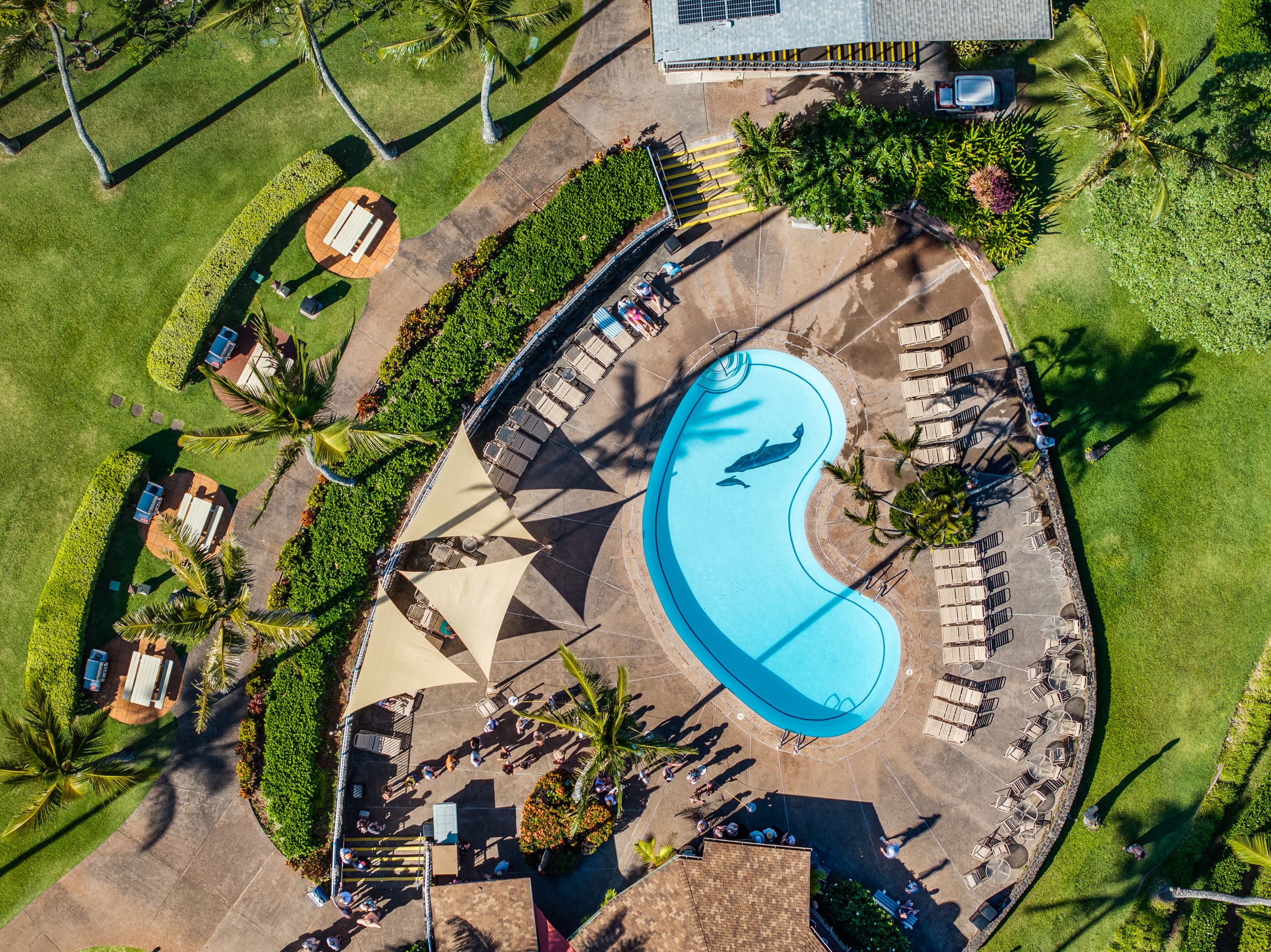 Condo in Lahaina · ★4.64 · 1 bedroom · 2 beds · 1 bath - Image 45