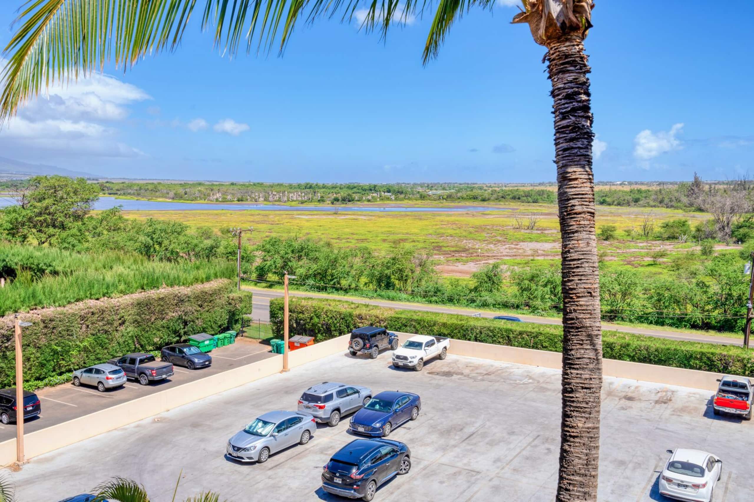 Penthouse Oceanfront overlooking Sandy Beach - Image 30