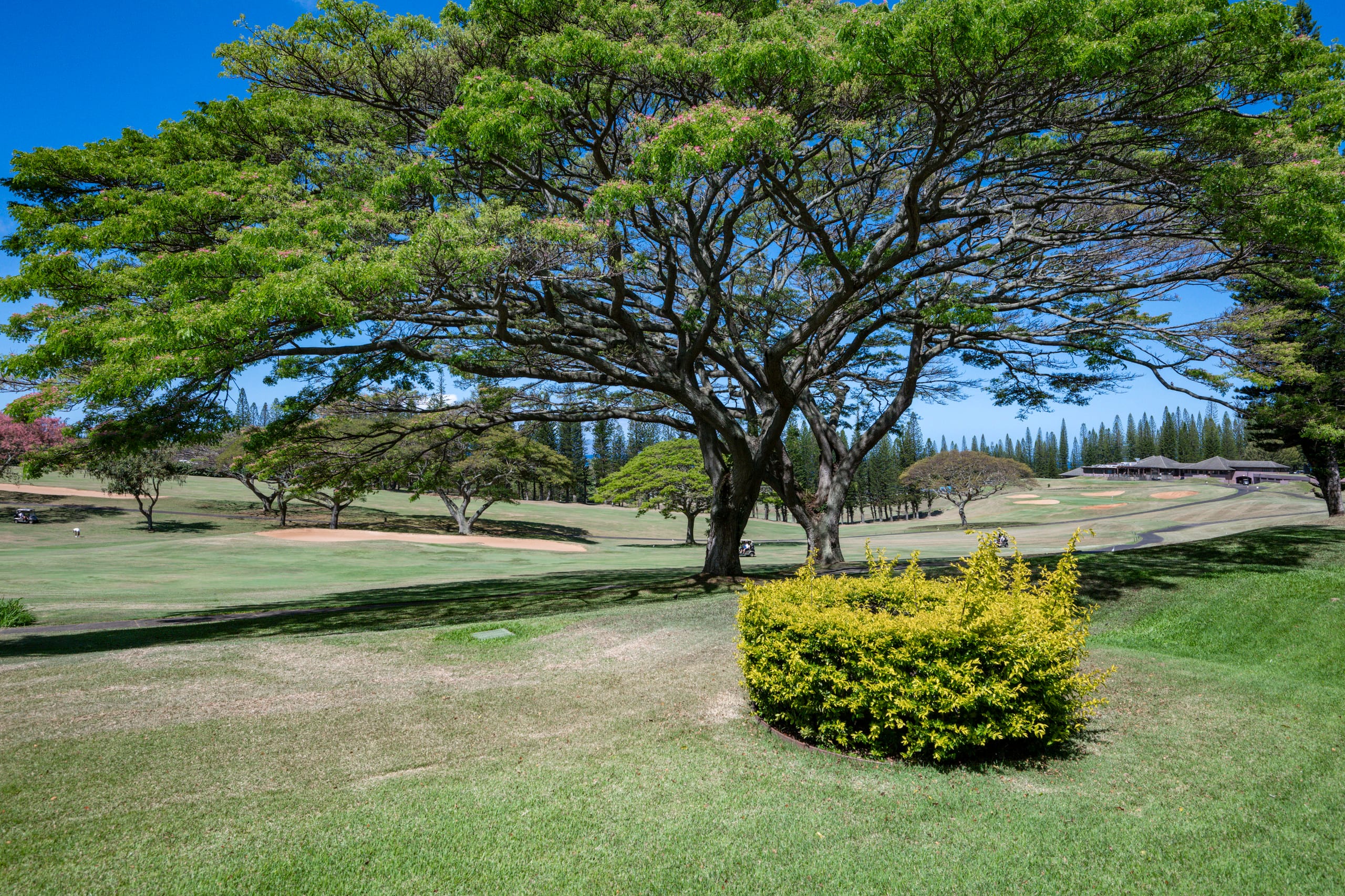 Luxury Kapalua Golf Villa 14P1-2 w/ Golf Views - Image 35