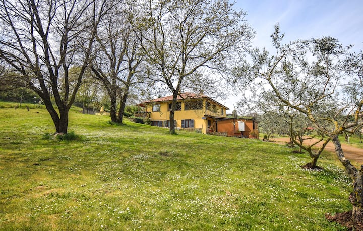Stunning Apartment In Monterosi - Trevignano Romano