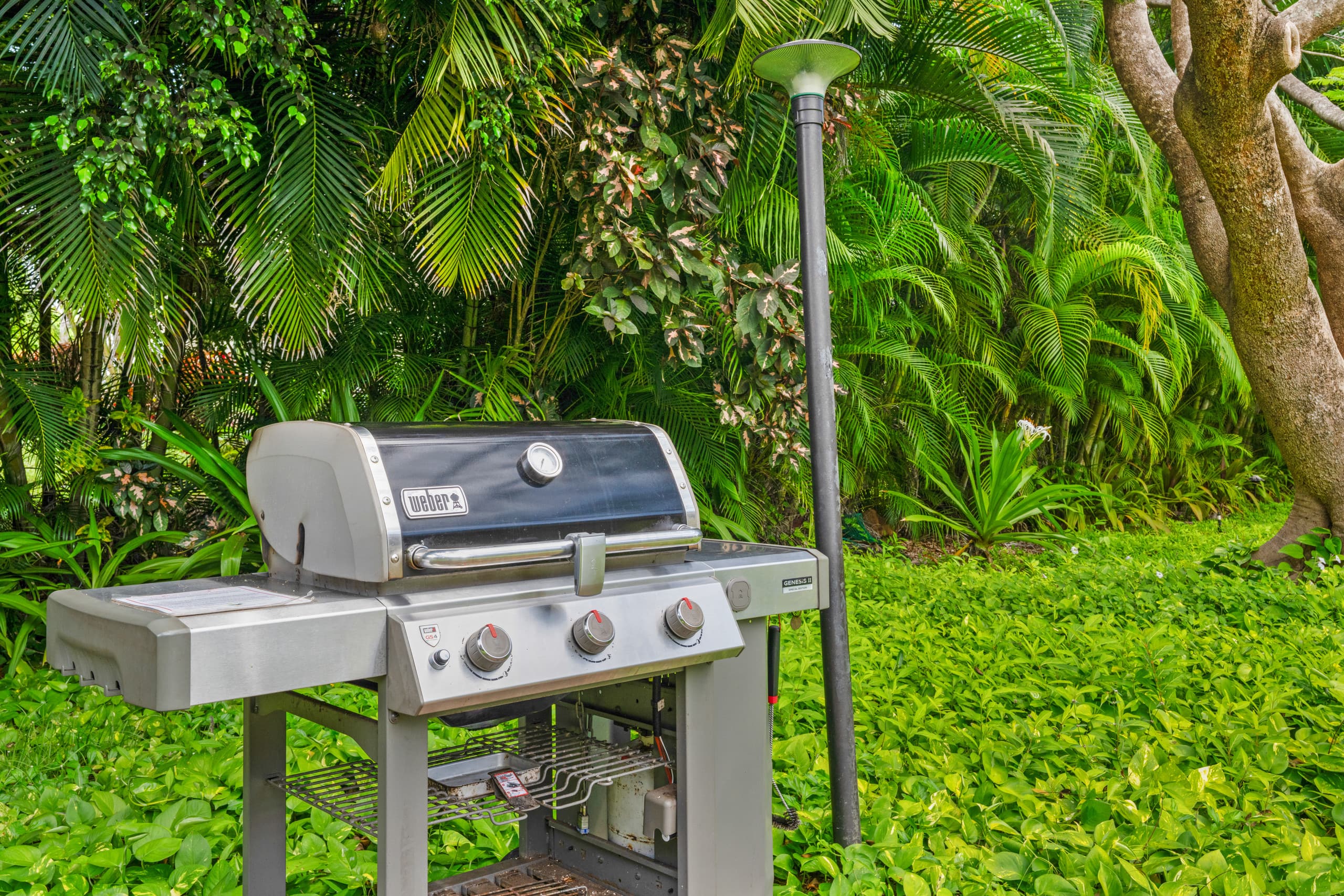 Condo in Koloa · ★4.73 · 2 bedrooms · 3 beds · 2 baths - Image 35