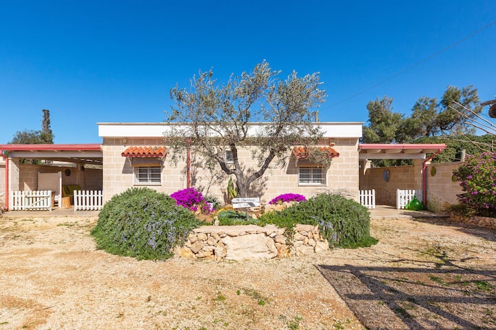 Villa Il Marchese E L'ulivo - Ulivo By Barbarhouse - Campomarino