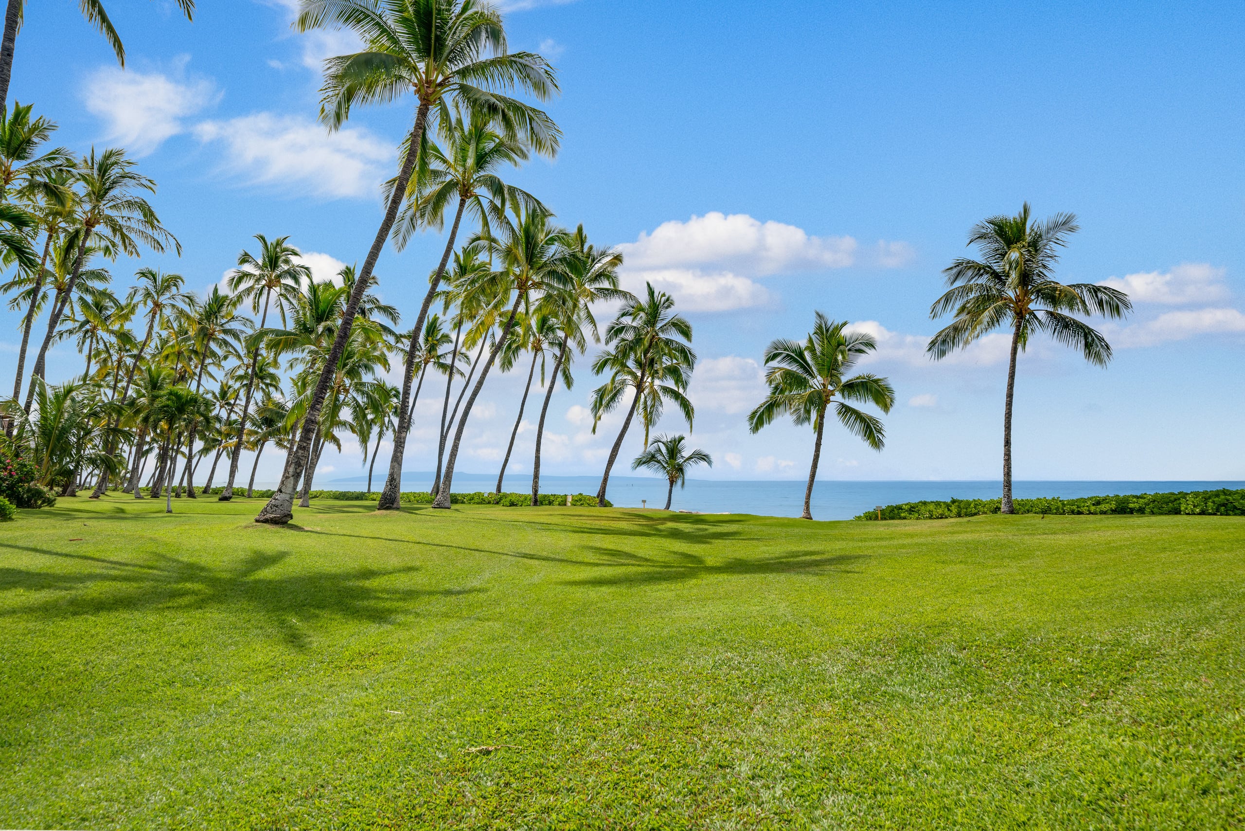 Townhouse in Lahaina · ★5.0 · 3 bedrooms · 5 beds · 2 baths - Image 50