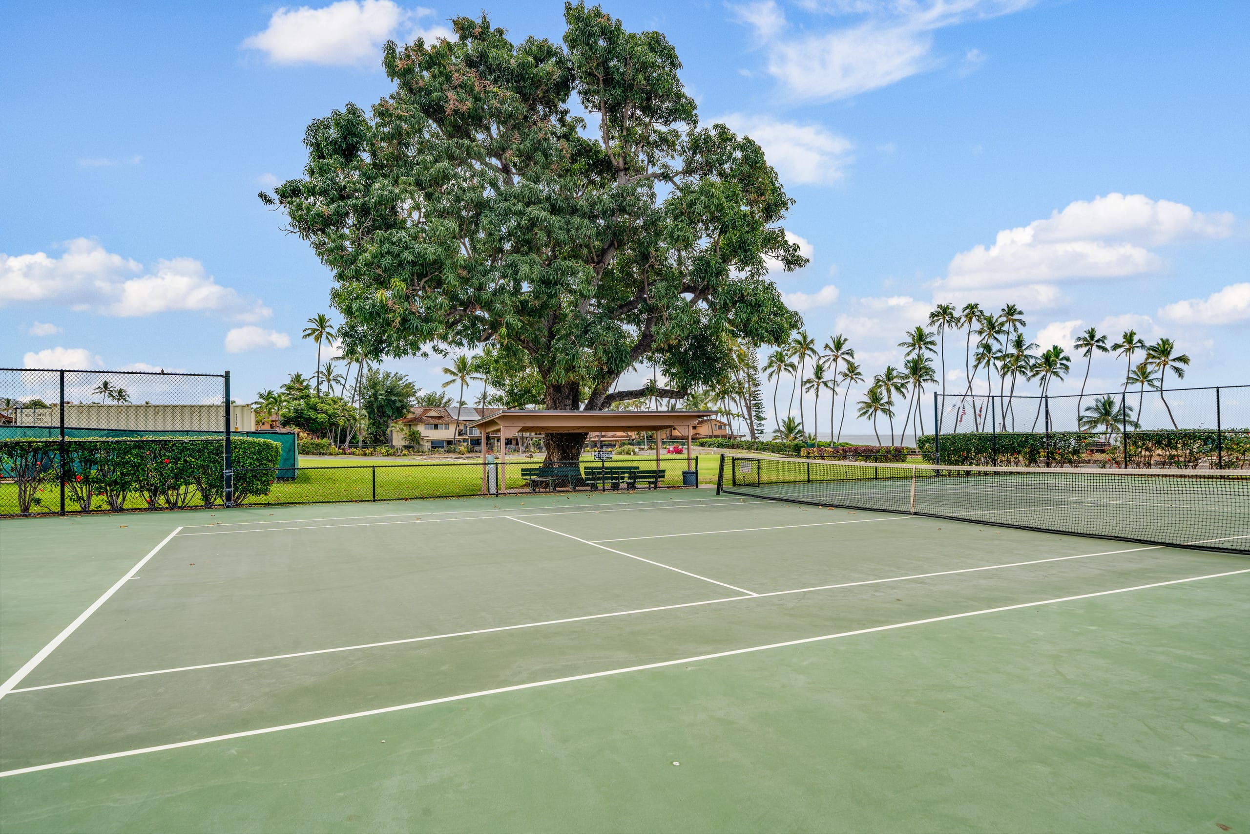 Townhouse in Lahaina · ★5.0 · 3 bedrooms · 5 beds · 2 baths - Image 46