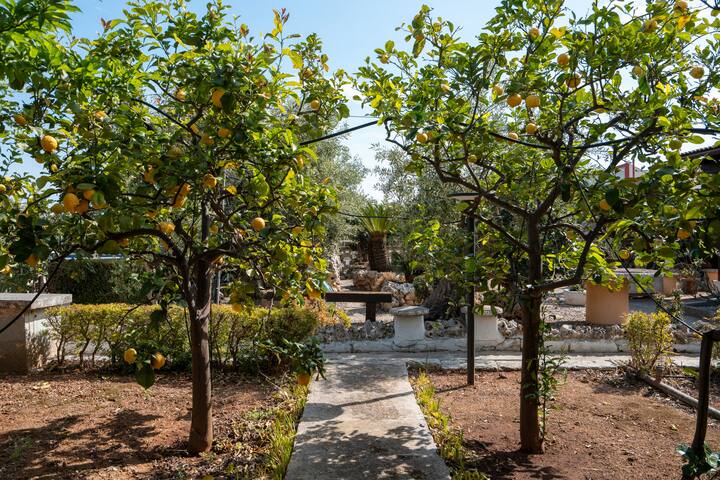 La Casa dei Ricordi gallery image 4