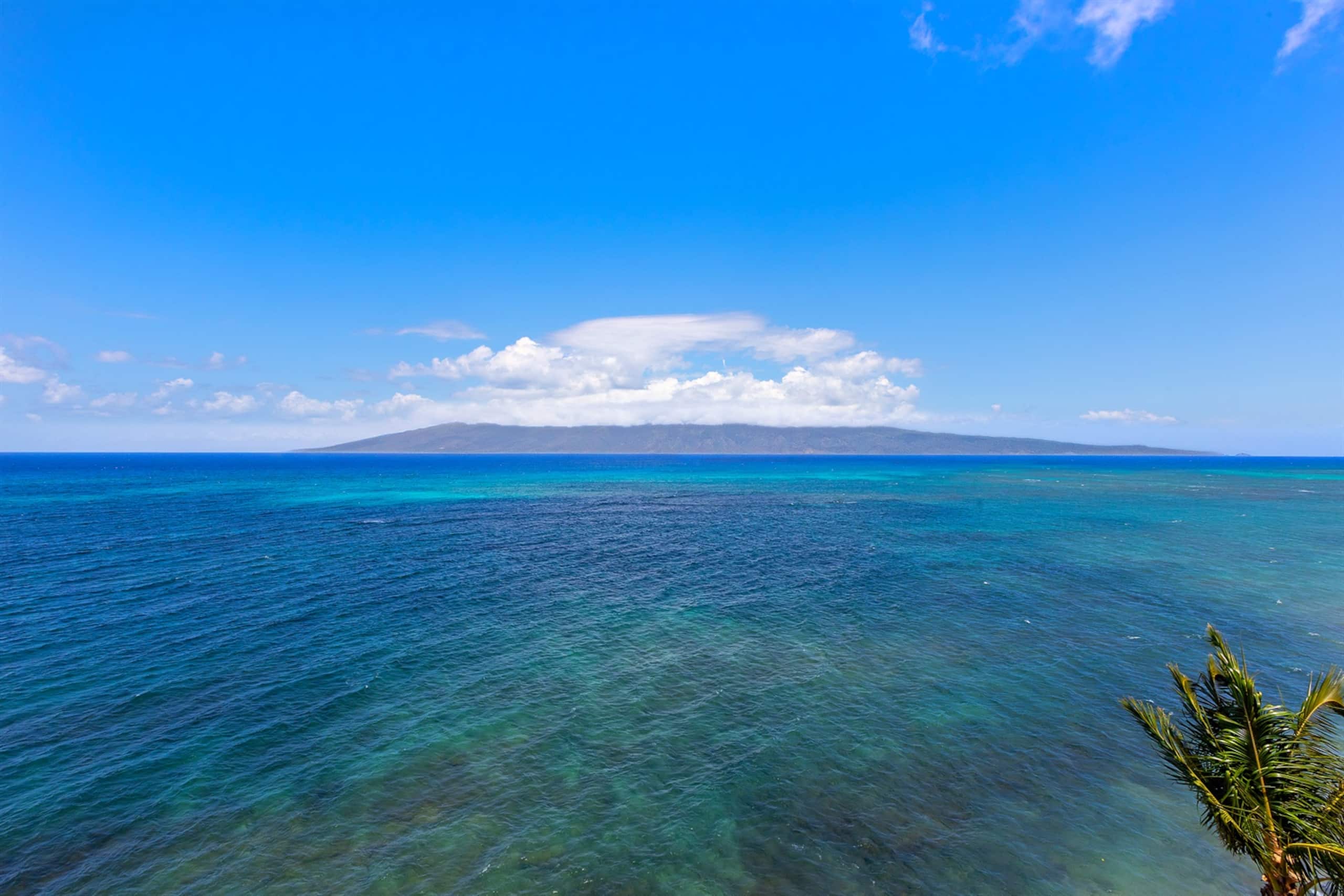 Condo in Lahaina · ★4.94 · 1 bedroom · 2 beds · 1 bath - Image 30