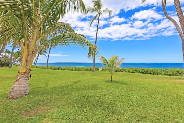 Summer Special Rates! Oceanfront 4BR Puamana 9-2 gallery image 3