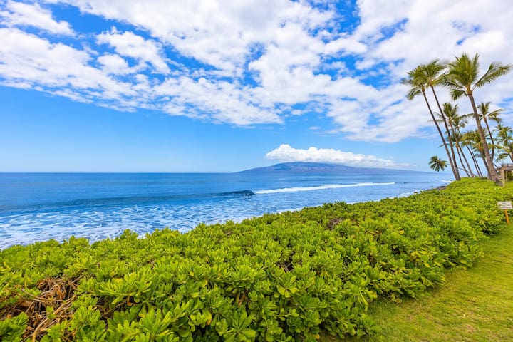 Summer Special Rates! Oceanfront 4BR Puamana 9-2 gallery image 4