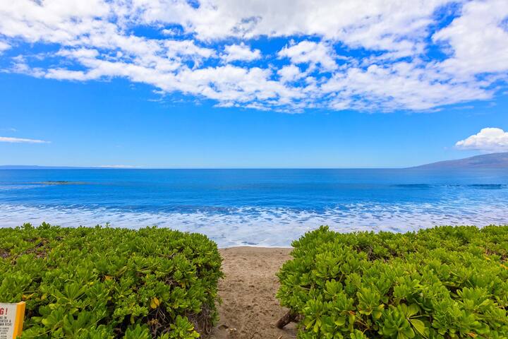 Summer Special Rates! Oceanfront 4BR Puamana 9-2 gallery image 5