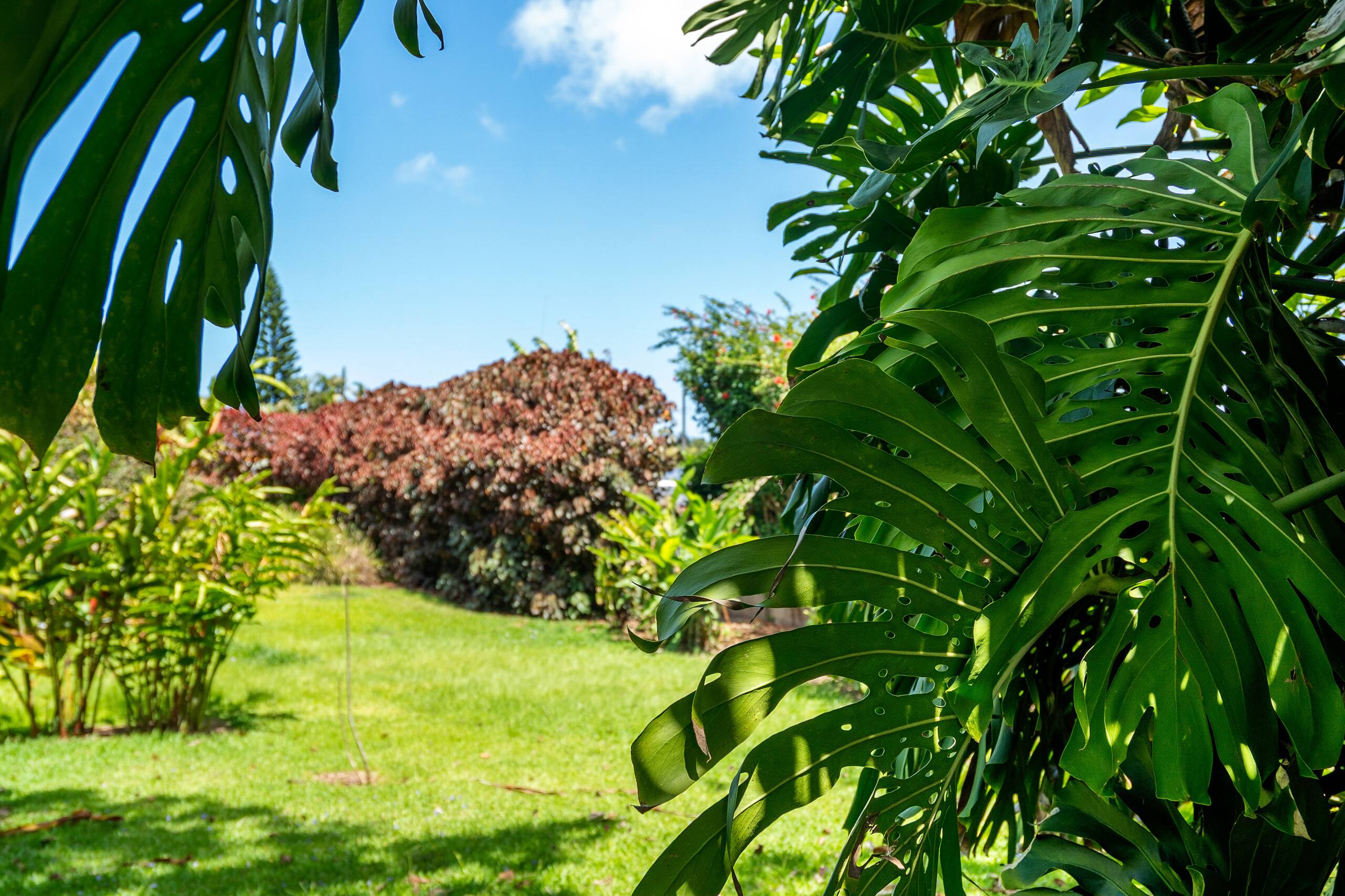 Home in Haiku-Pauwela · ★4.6 · 3 bedrooms · 3 beds · 2 private baths - Image 37