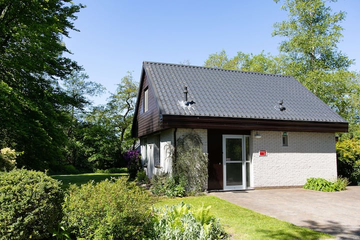 Populier | 4+2 Persons - Frisia