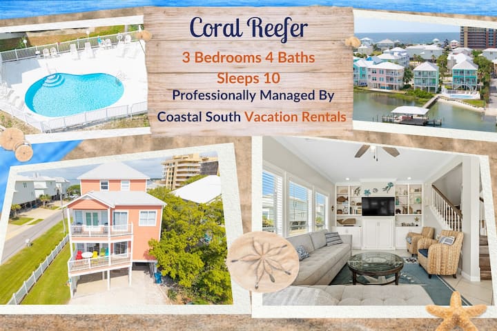 Bring The Dogs Beach, Pool, Free Daily Activities! - Gulf Shores, AL