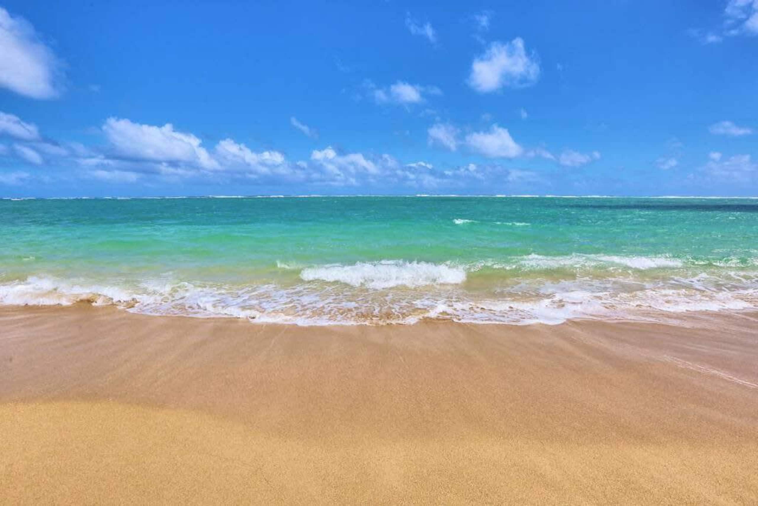 Condo in Hauula · ★4.49 · 1 bedroom · 6 beds · 1 private bath - Image 39