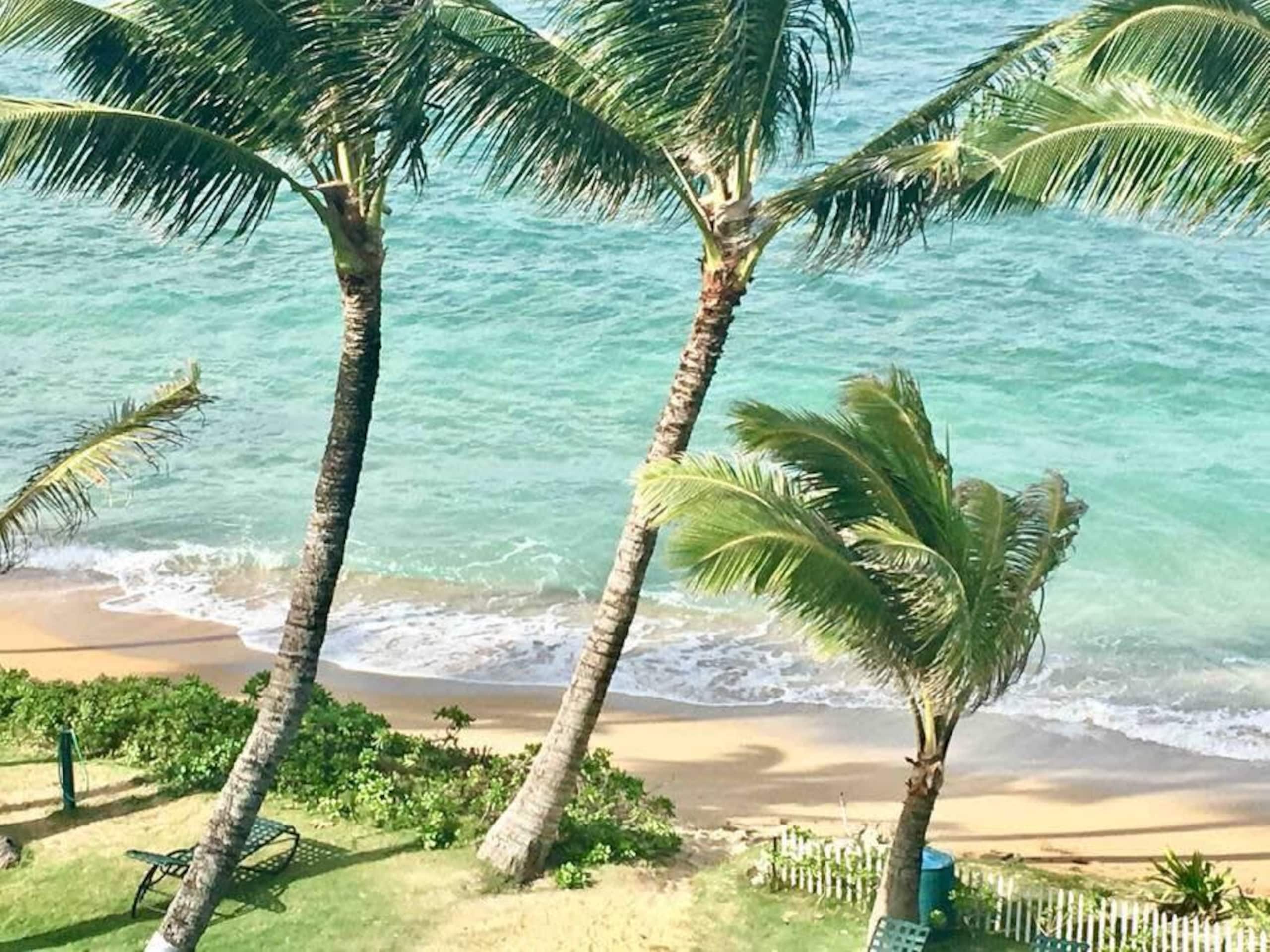 Condo in Hauula · ★4.49 · 1 bedroom · 6 beds · 1 private bath - Image 41