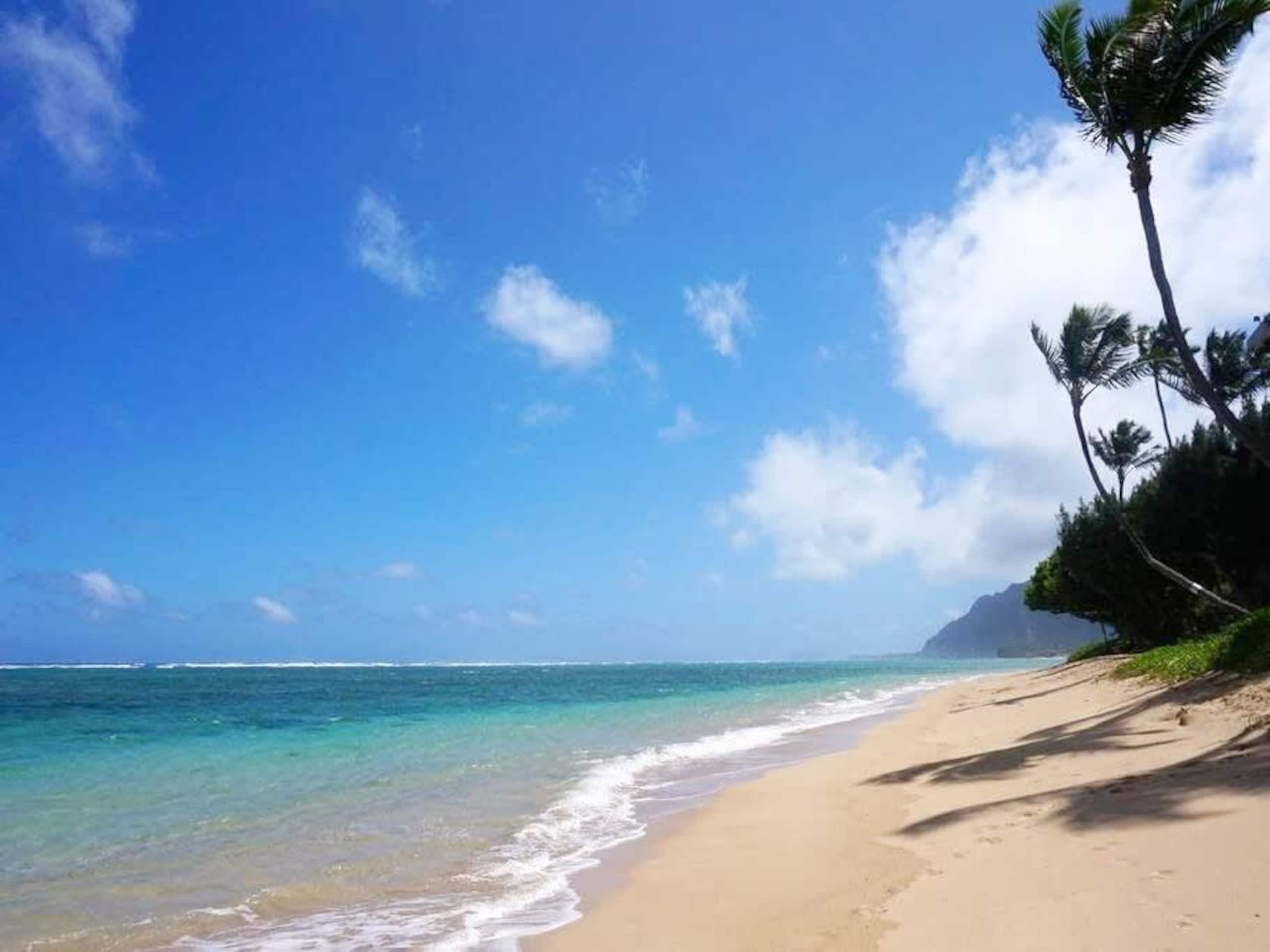 Condo in Hauula · ★4.49 · 1 bedroom · 6 beds · 1 private bath - Image 35