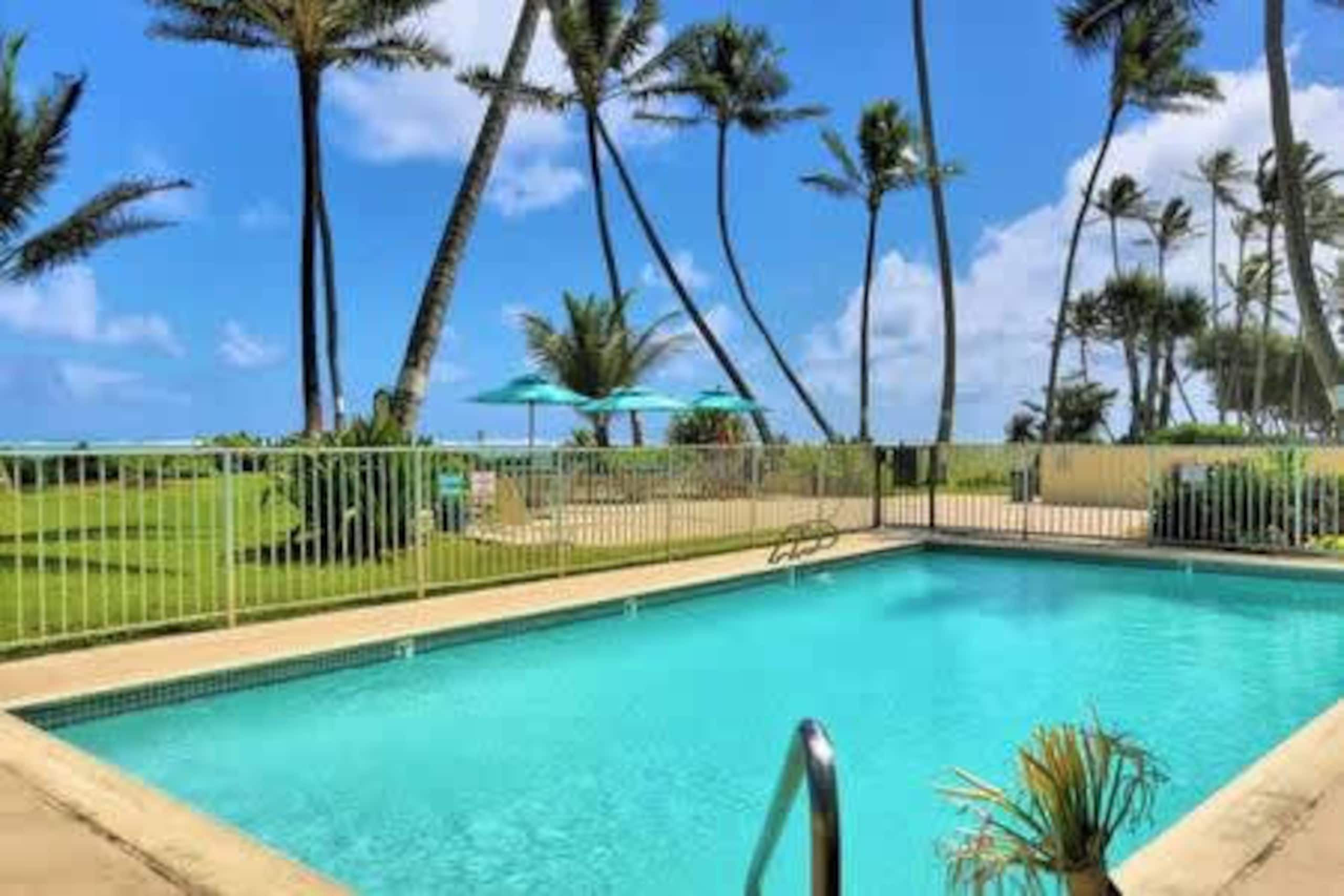 Condo in Hauula · ★4.49 · 1 bedroom · 6 beds · 1 private bath - Image 33