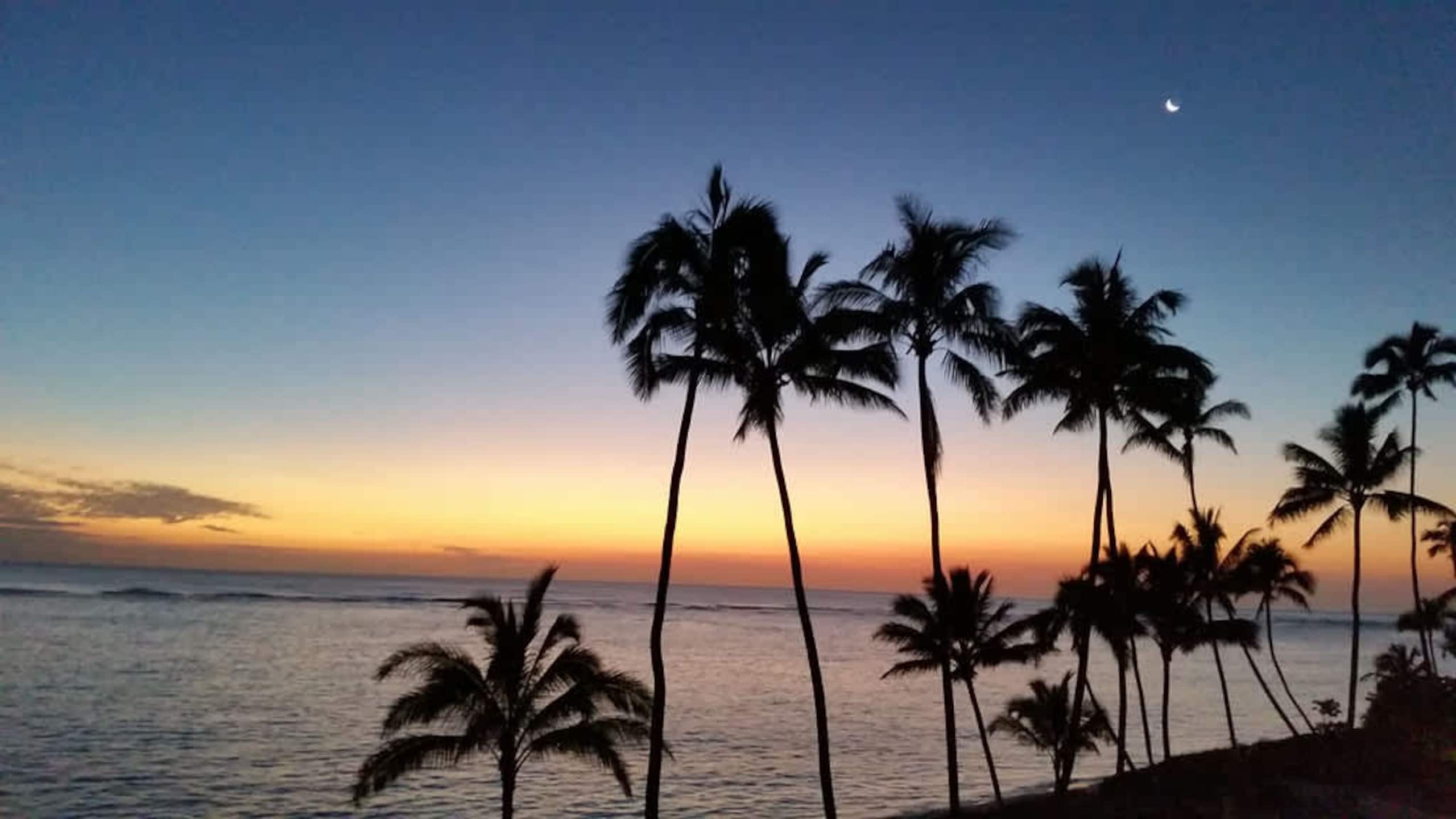 Condo in Hauula · ★4.49 · 1 bedroom · 6 beds · 1 private bath - Image 62