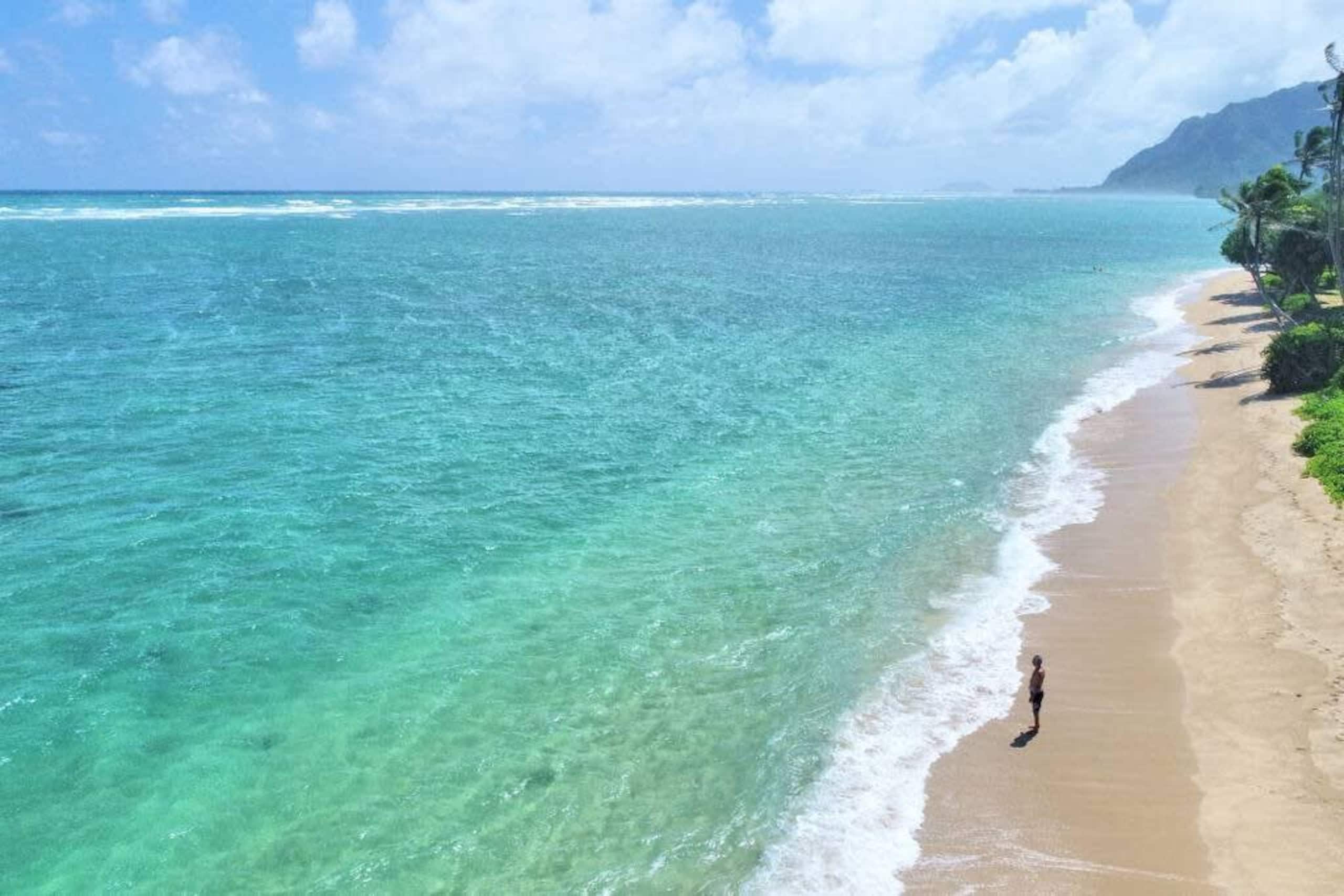 Condo in Hauula · ★4.49 · 1 bedroom · 6 beds · 1 private bath - Image 46