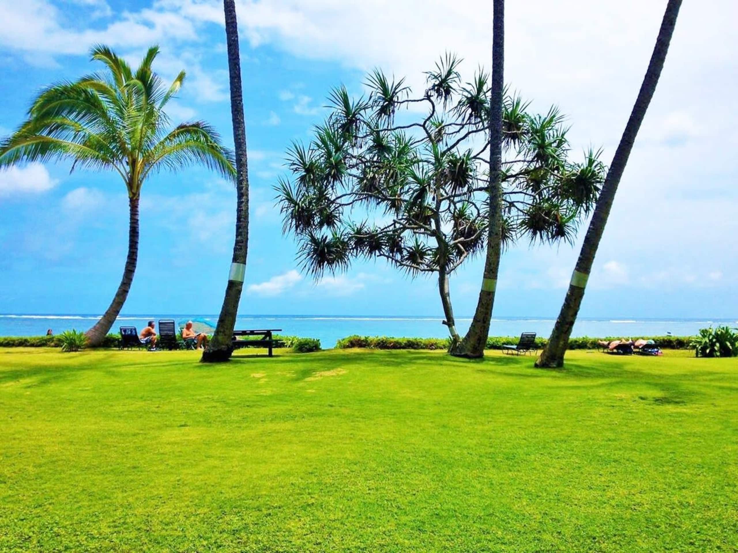 Condo in Hauula · ★4.49 · 1 bedroom · 6 beds · 1 private bath - Image 45
