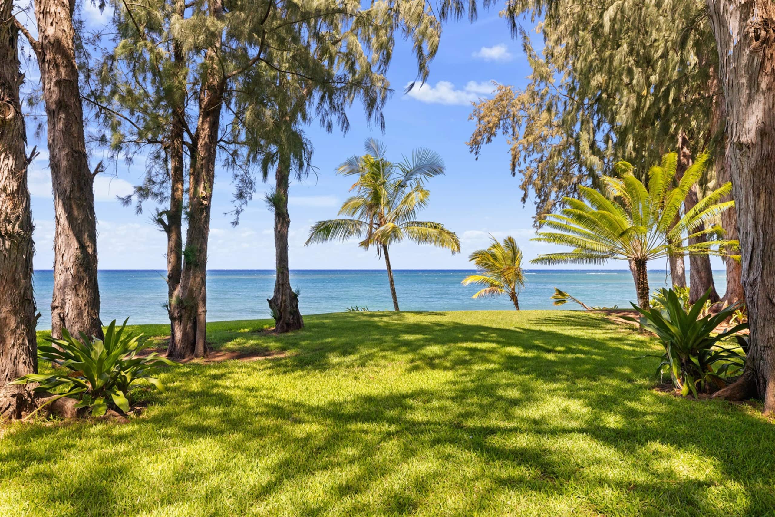 Guesthouse in Kahuku · ★4.95 · 6 bedrooms · 10 beds · 5 baths - Image 39
