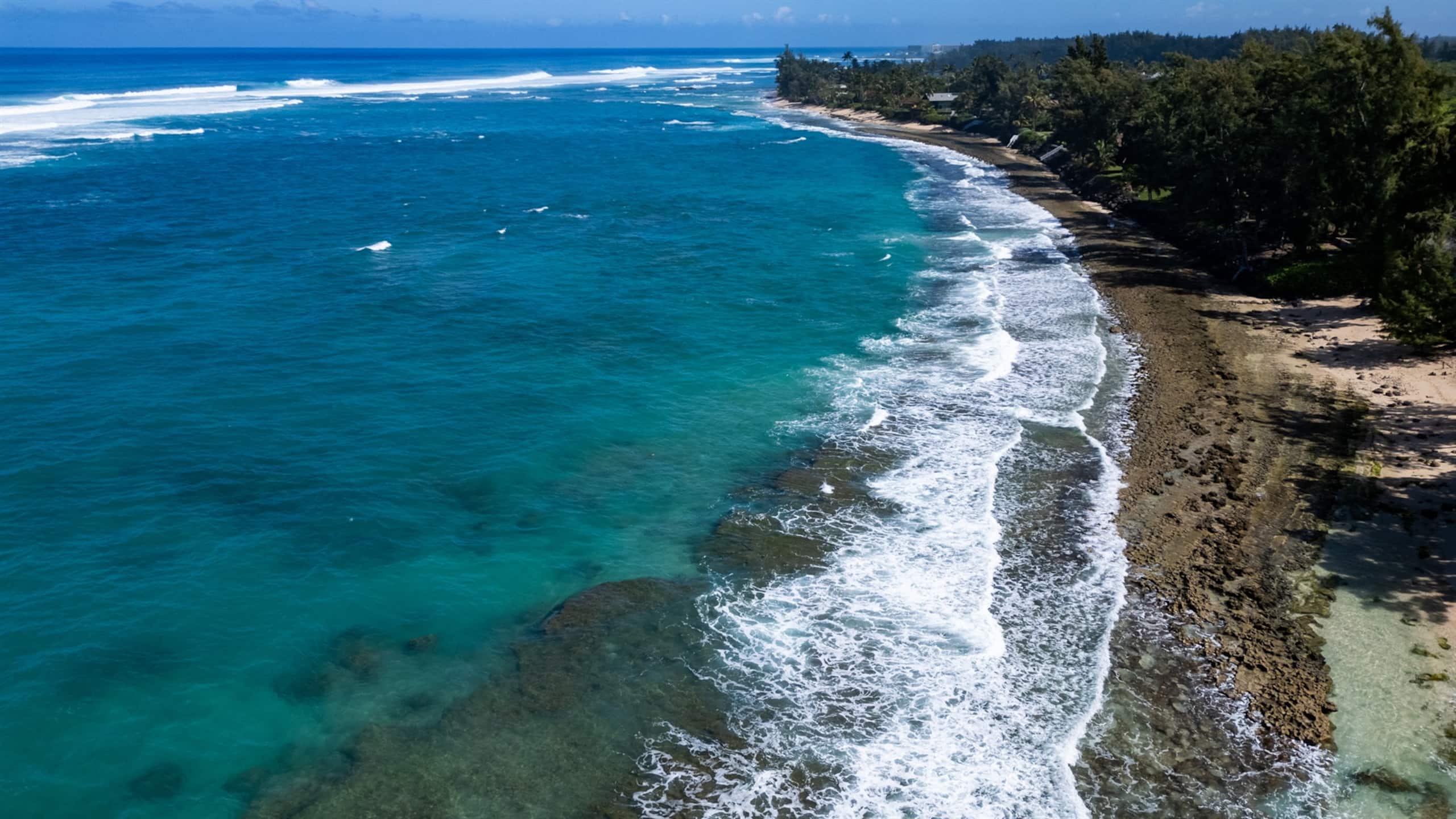 Guesthouse in Kahuku · ★4.95 · 6 bedrooms · 10 beds · 5 baths - Image 43