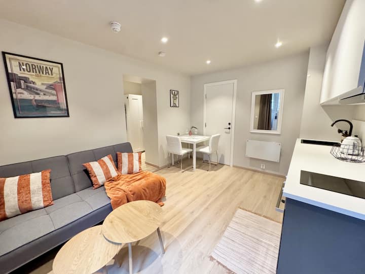 Smart & Central - New Renovated - Oslo