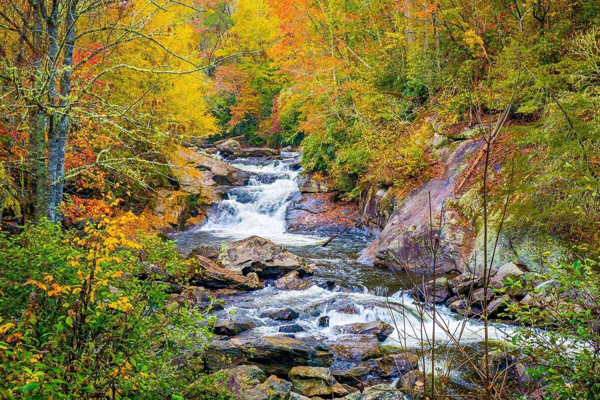 A serene river flows through a vibrant forest, showcasing a variety of colorful autumn foliage. Smooth stones are interspersed along the water's edge, while gentle cascades create a soothing sound. Sunlight filters through the trees, illuminating the tranquil scene.