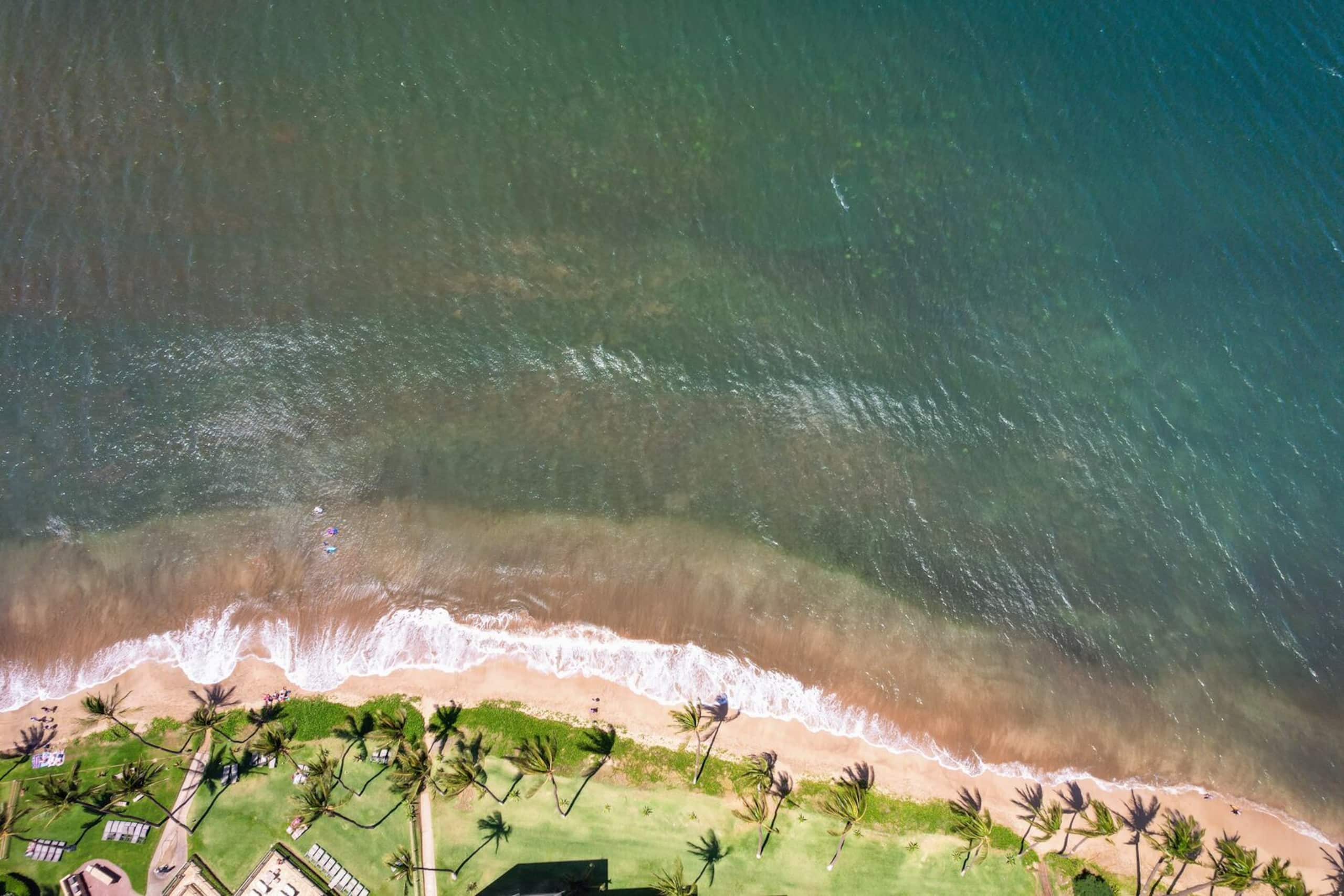 Beach Views overlooking miles of Sandy Beach - Image 42