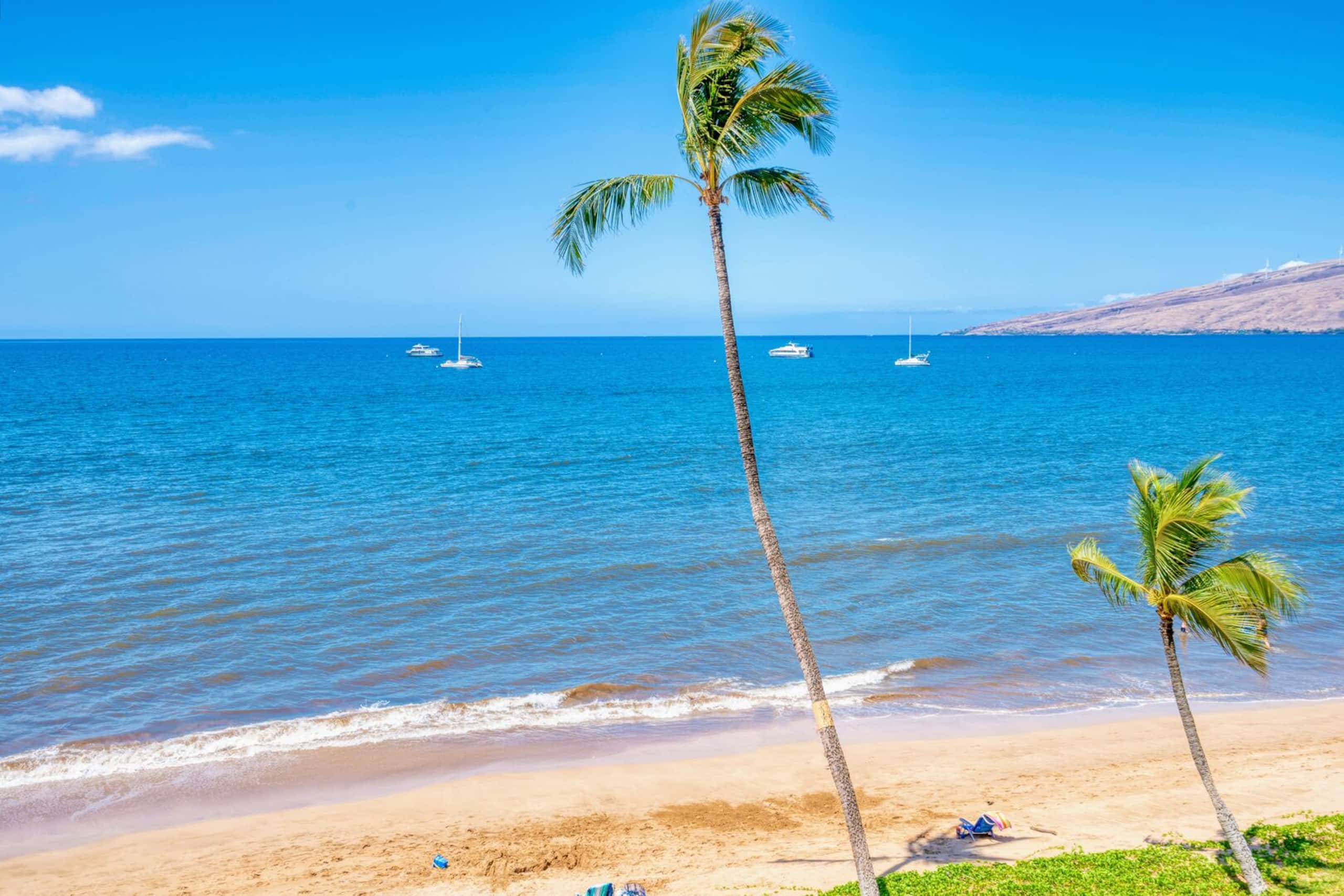 Beach Views overlooking miles of Sandy Beach - Image 19